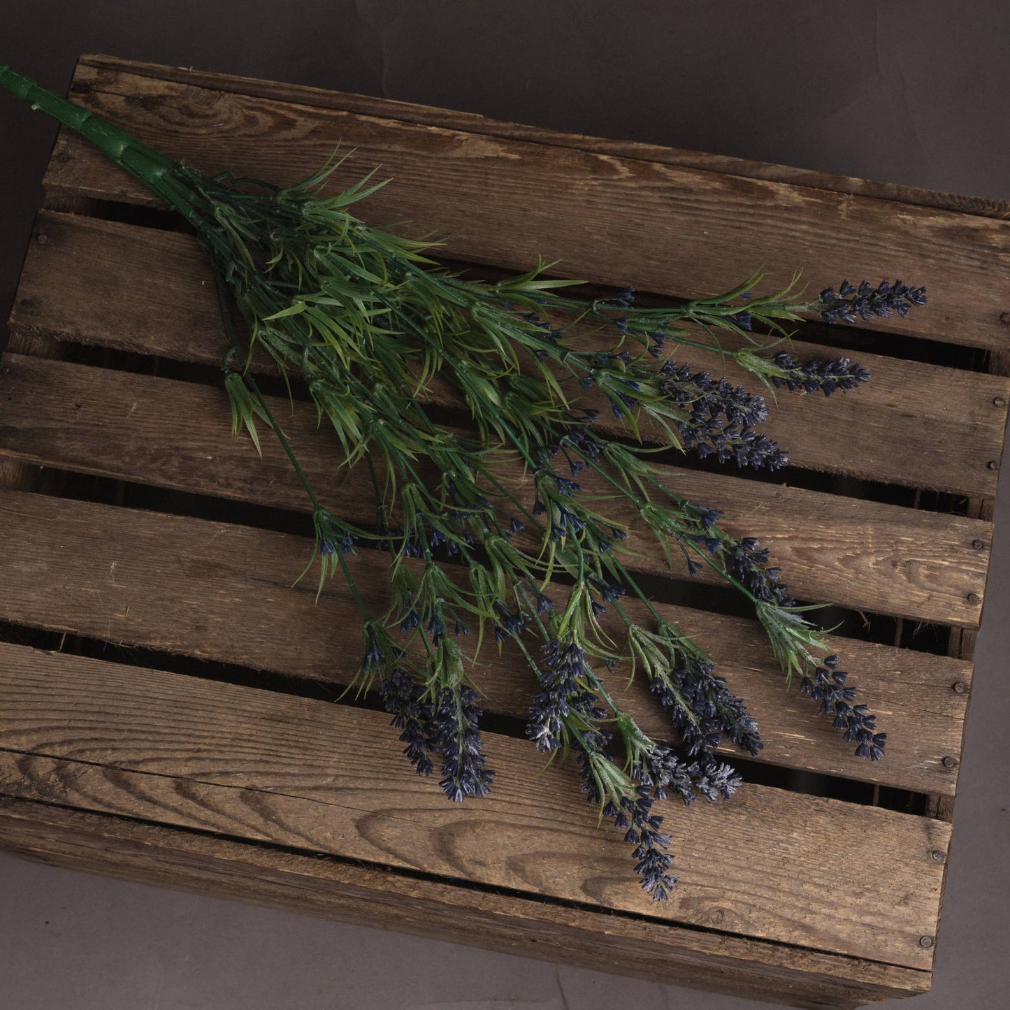Large Lavender Bush elegantly displayed, capturing the essence of the French countryside for your decor.