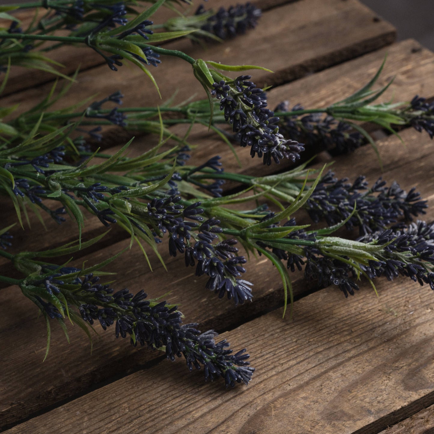 Large Lavender Bush with delicate flower heads, perfect for adding a touch of French countryside charm to your space.