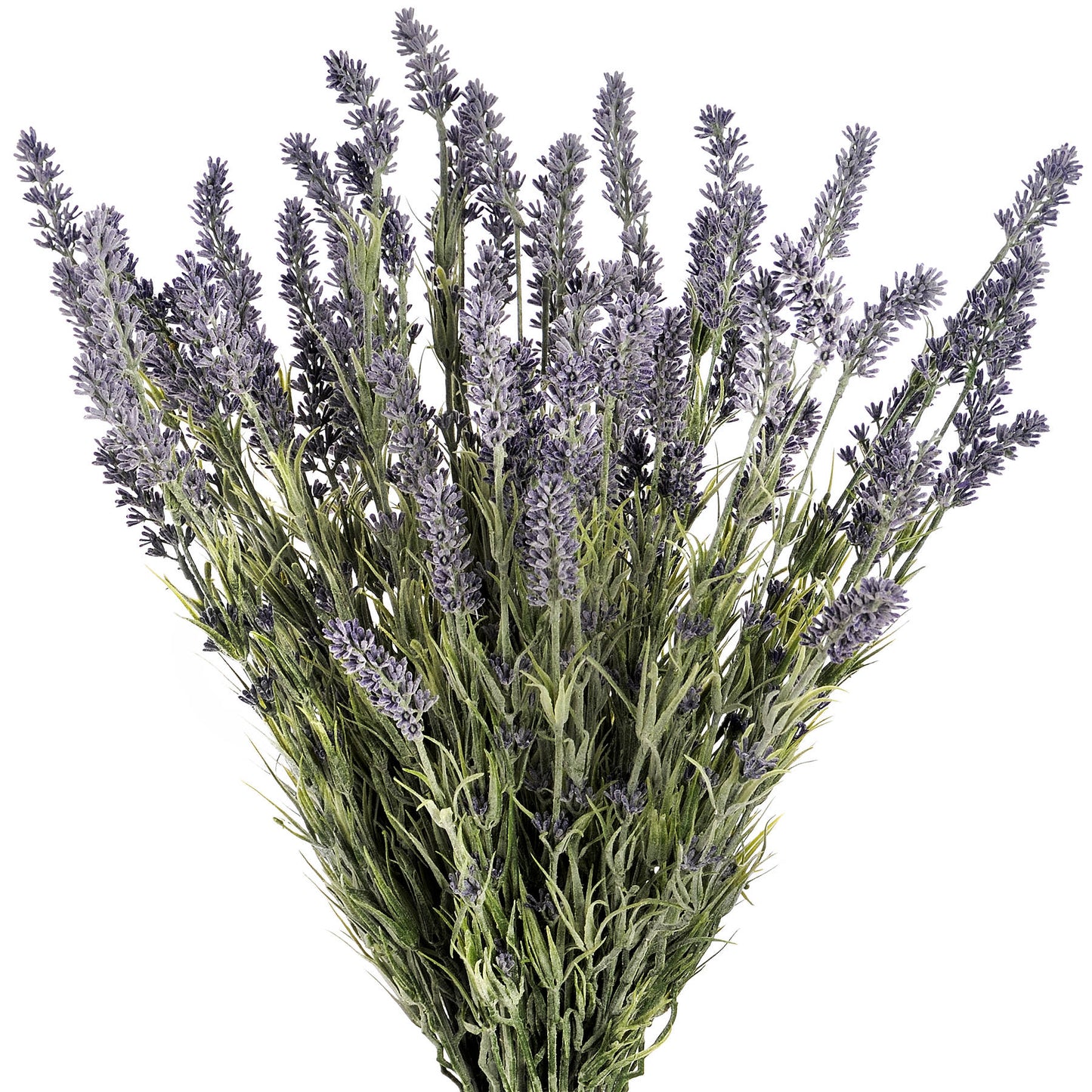 Large Lavender Bush showcasing delicate flower heads, perfect for adding a touch of French countryside charm.
