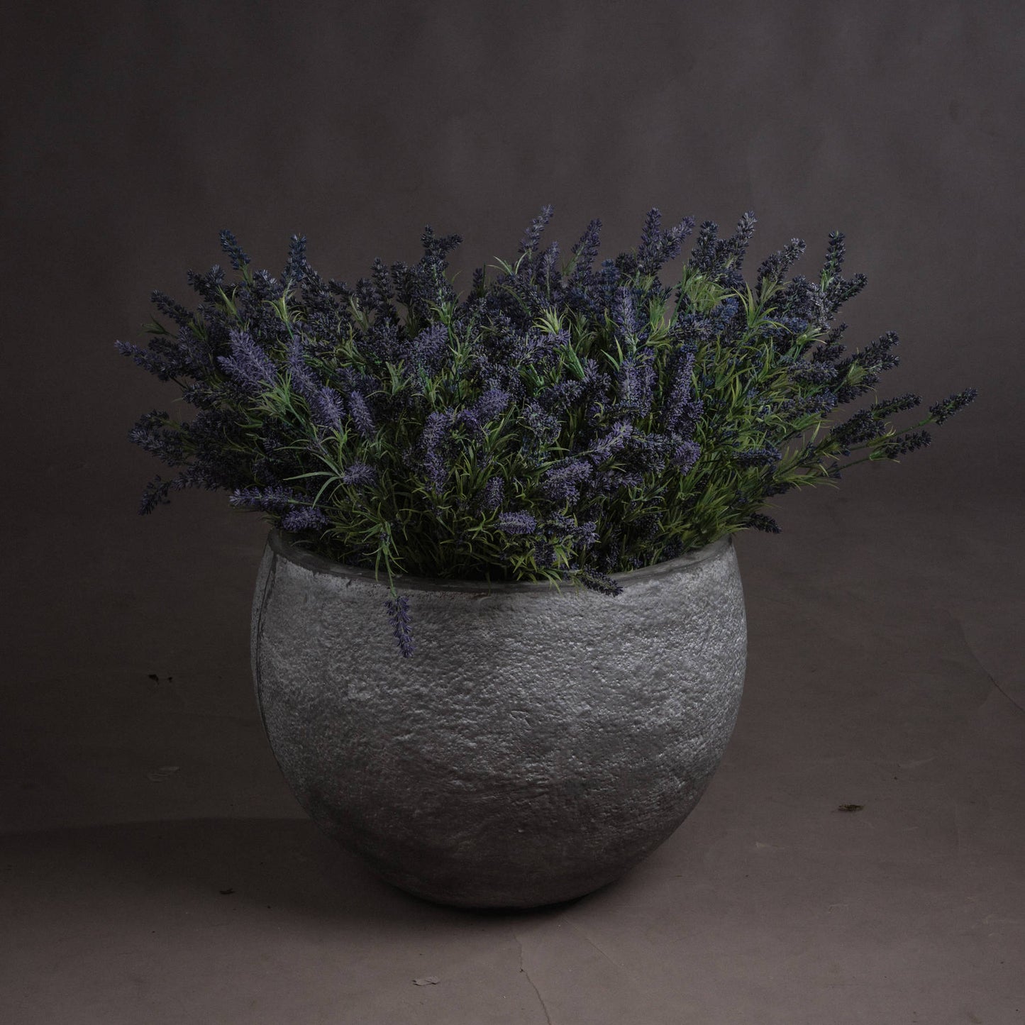 Large Lavender Bush in a textured pot, adding serene French countryside charm to any space. Perfect for decor.