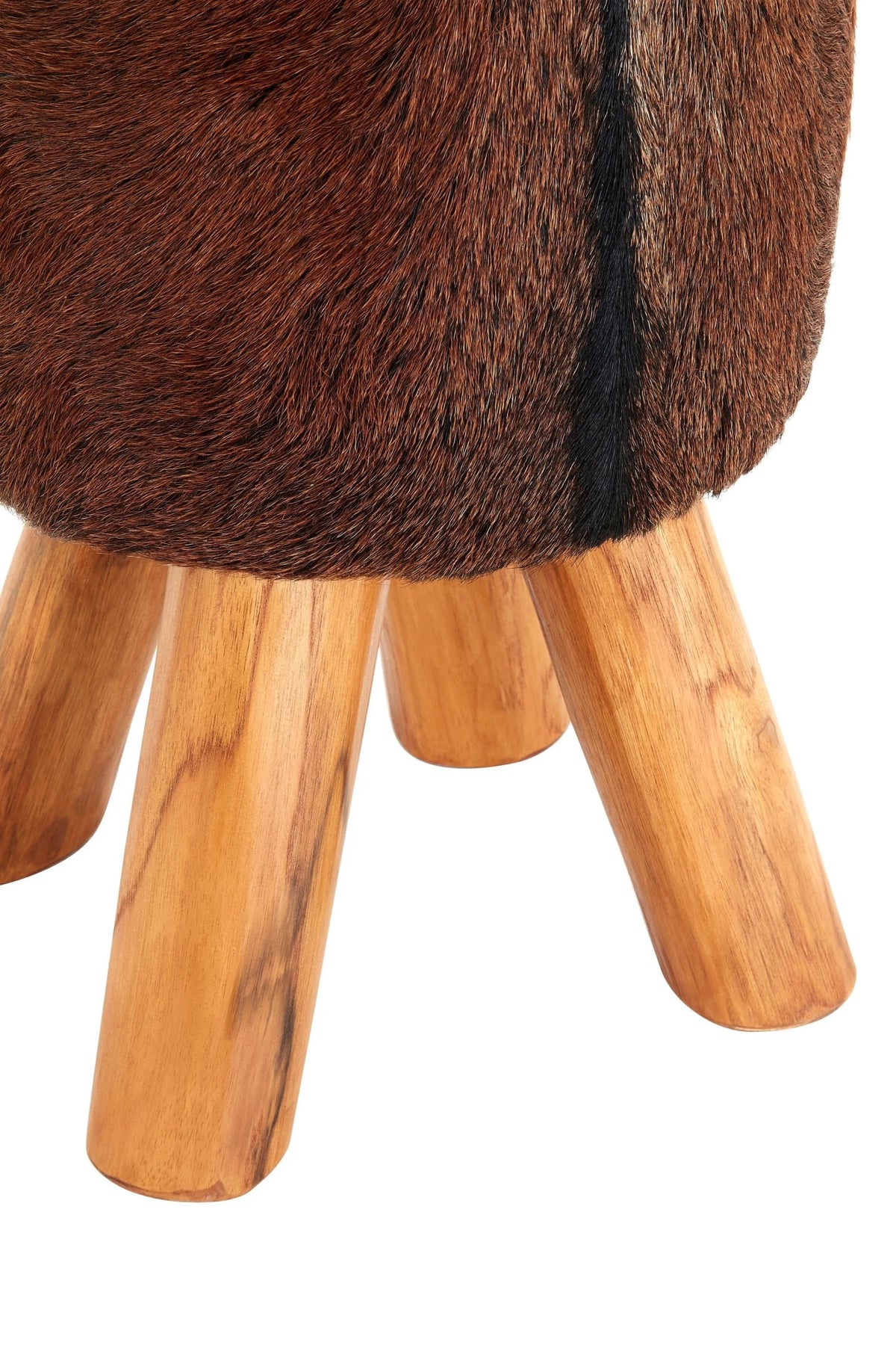 Premier Housewares product image