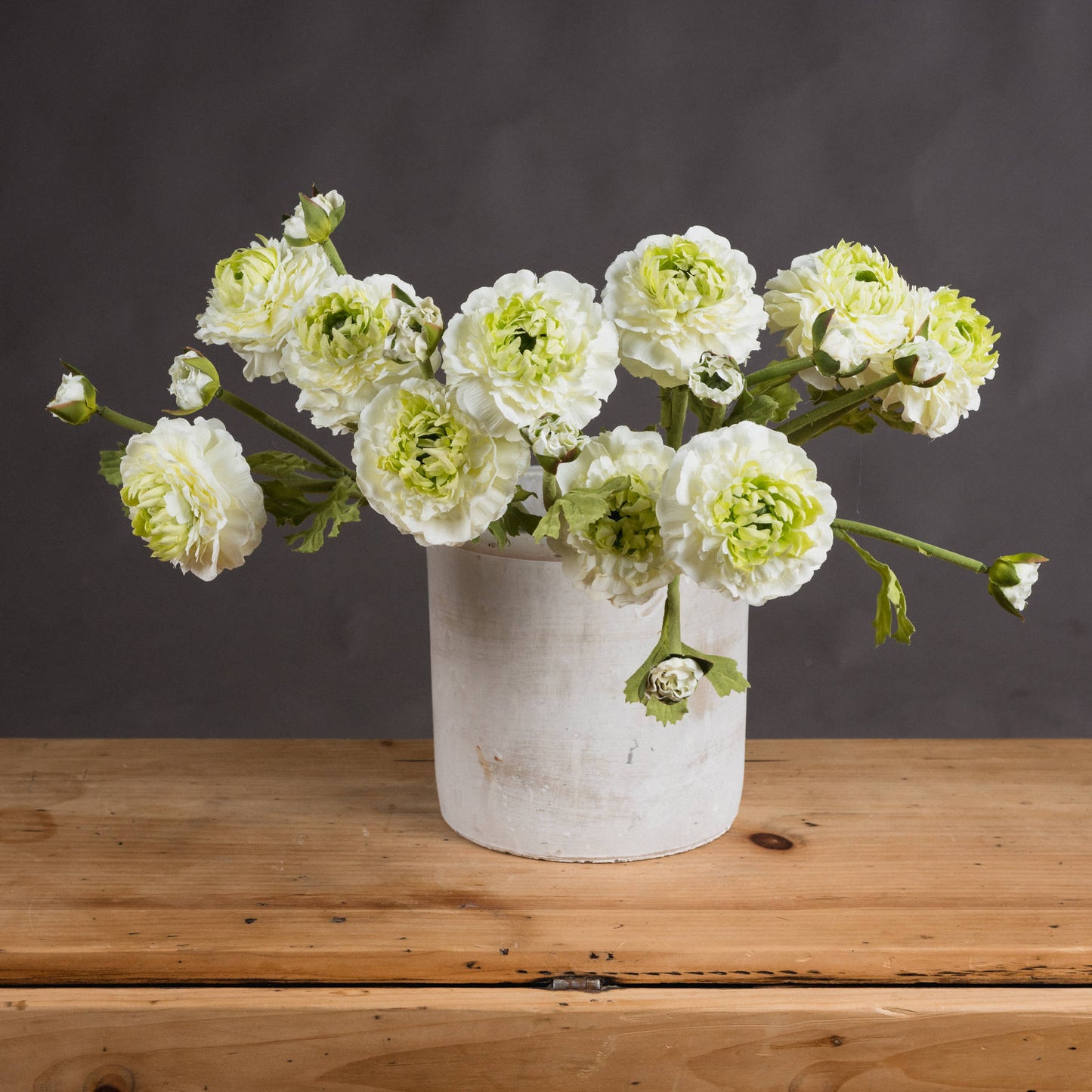 Lifelike green ranunculus blooms in a textured white pot, adding natural charm and elegance to any decor setting.