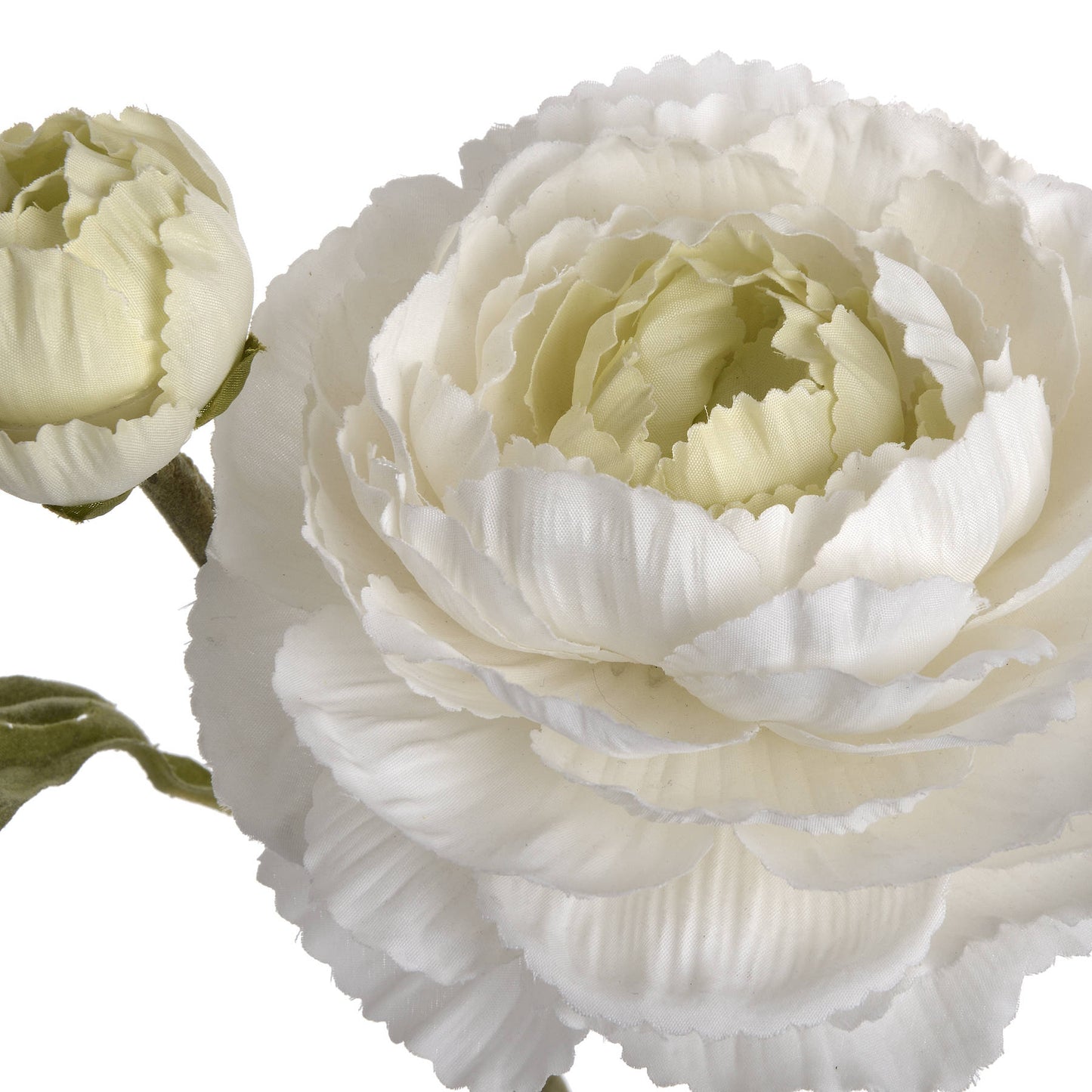 Elegant white Ranunculus spray featuring layered petals and a soft, natural texture, perfect for sophisticated decor.