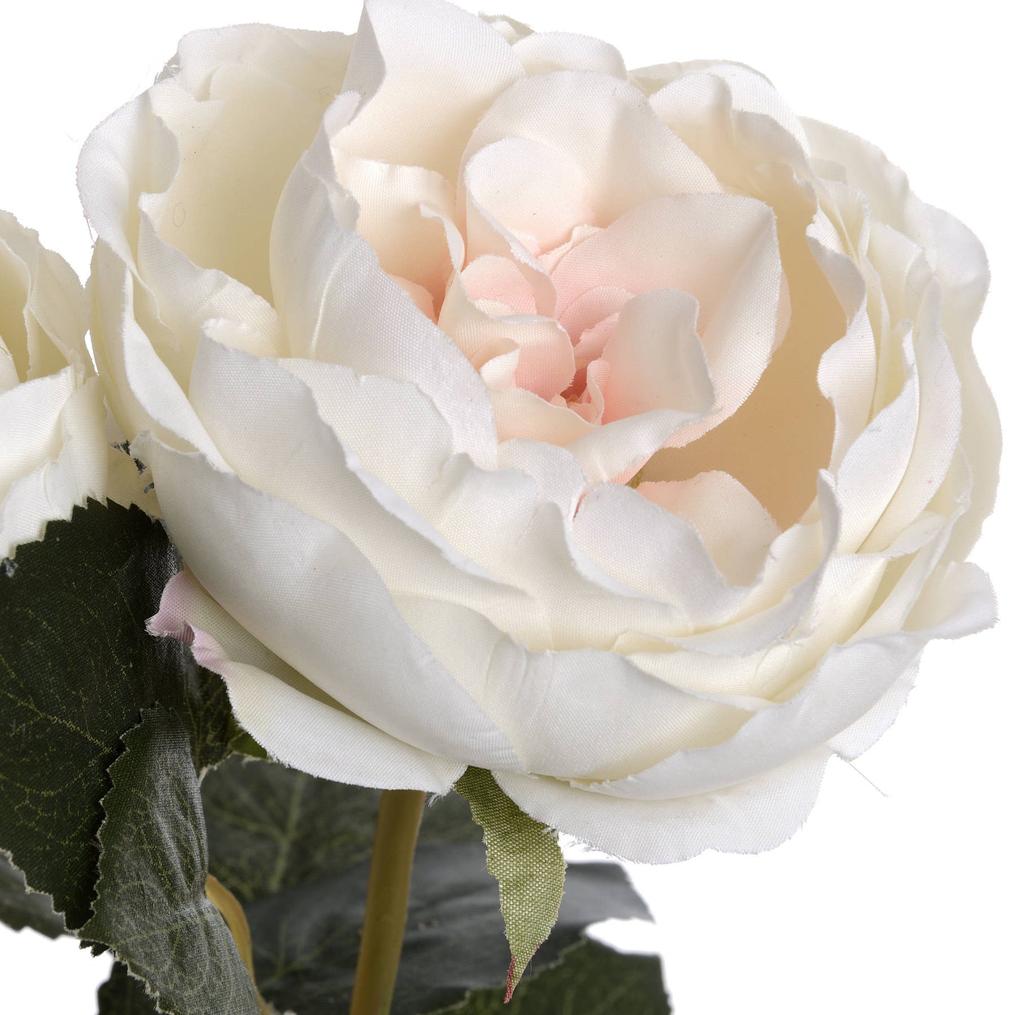 Lifelike blush garden rose with soft white petals and delicate pink center, surrounded by lush green leaves, perfect for elegant decor.