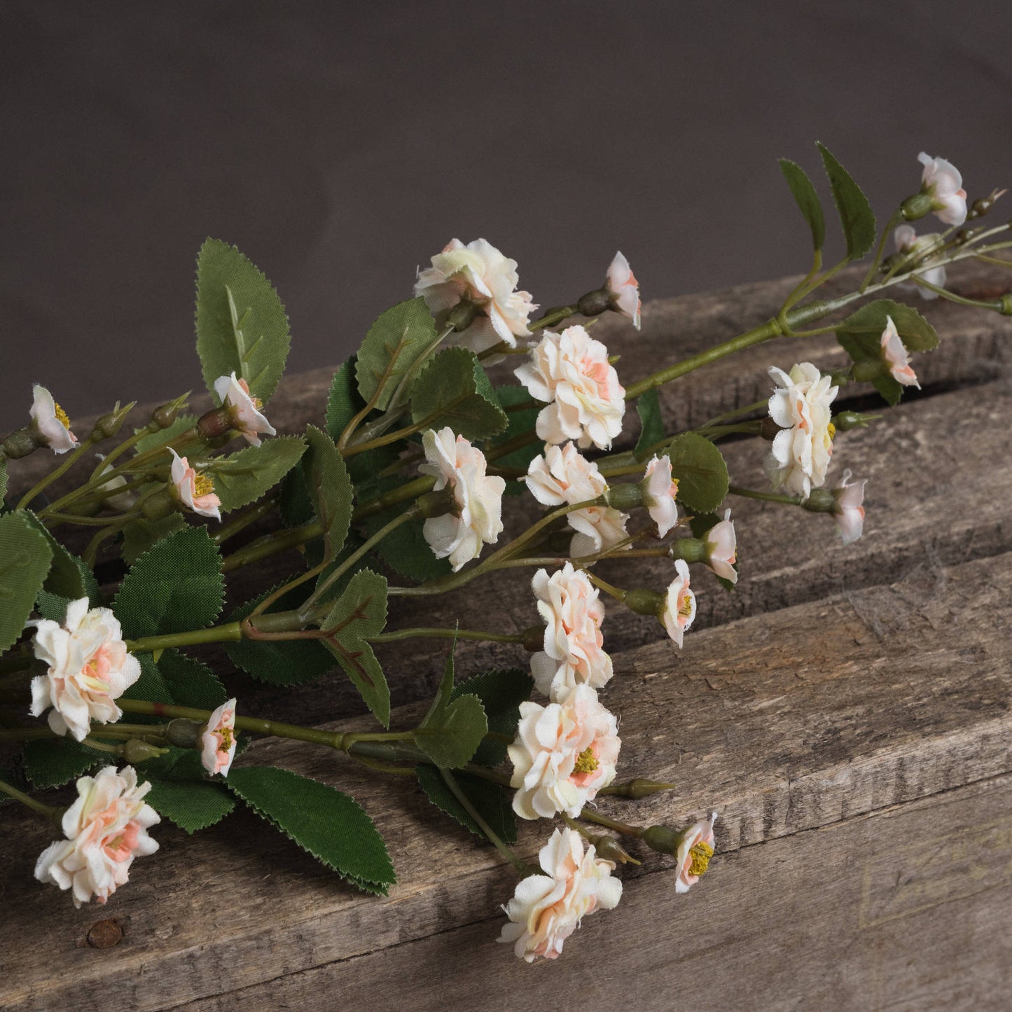 Delicate cream wild meadow roses with soft pink accents and vibrant green leaves, arranged on rustic wood.