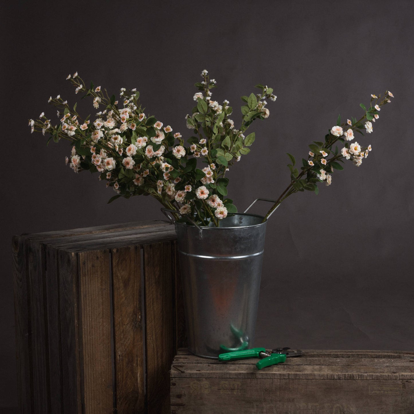 Cream Wild Meadow Rose stems in a rustic metal bucket, featuring delicate petals and lush green leaves, set against a dark background.