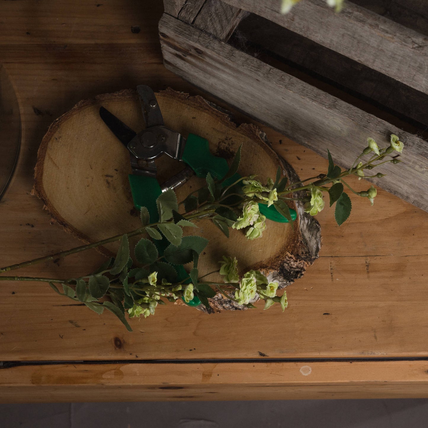 Green Wild Meadow Rose - Single Stem Flowers from the Quanta Home collection.