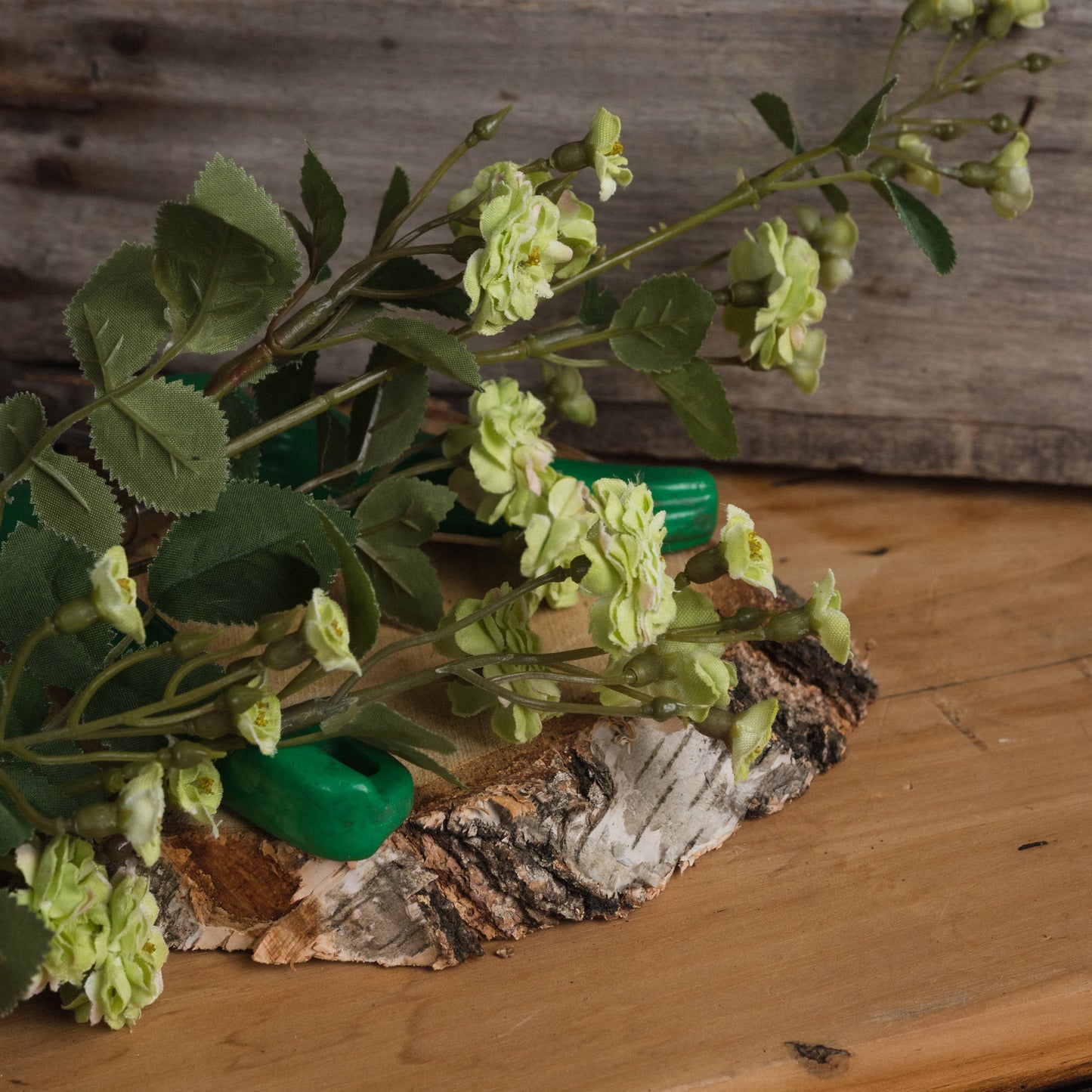 Green Wild Meadow Rose - Single Stem Flowers from the Quanta Home collection.