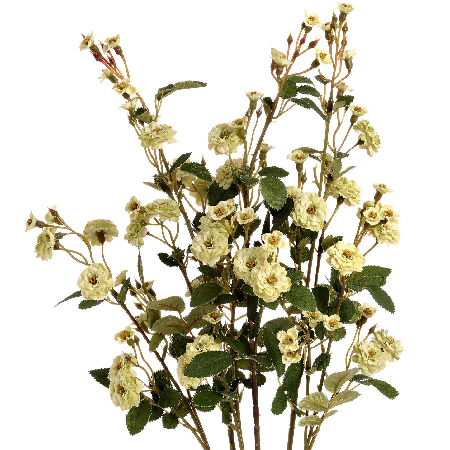 Green Wild Meadow Rose - Single Stem Flowers from the Quanta Home collection.