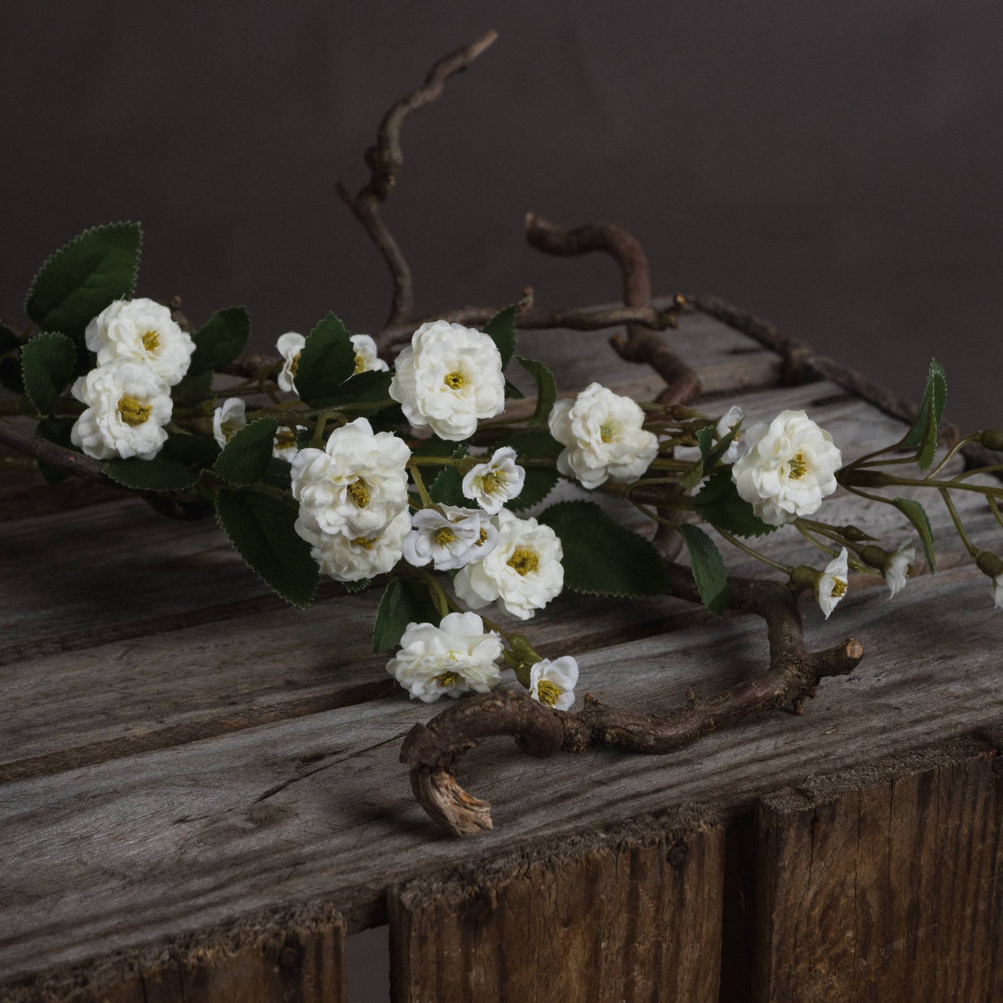 White Wild Meadow Rose - Single Stem Flowers from the Quanta Home collection.