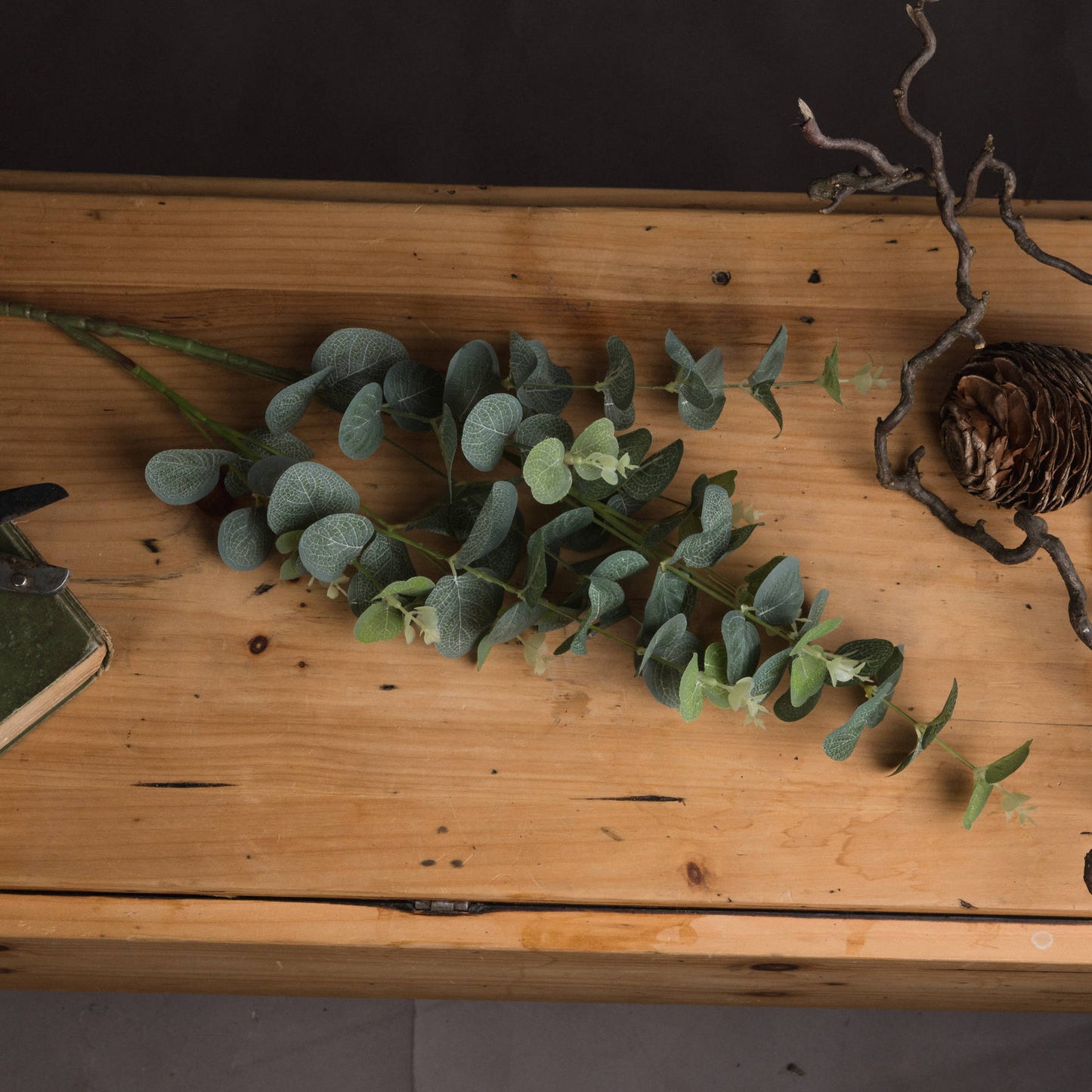 Eucalyptus Spray - Single Stem Flowers from the Quanta Home collection.
