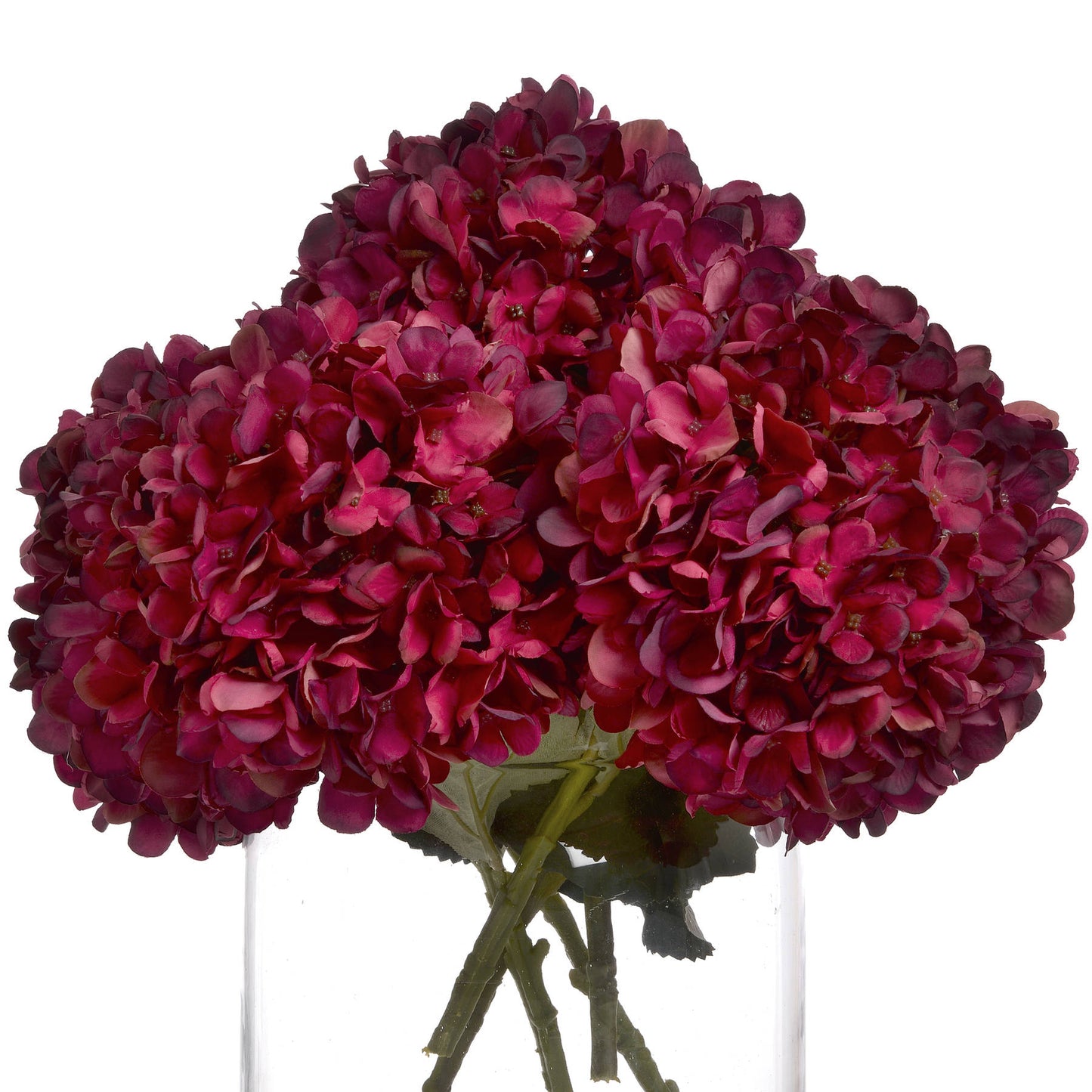 Deep ruby hydrangea blooms with hand-painted petals in a glass vase, exuding autumnal elegance for stylish decor.