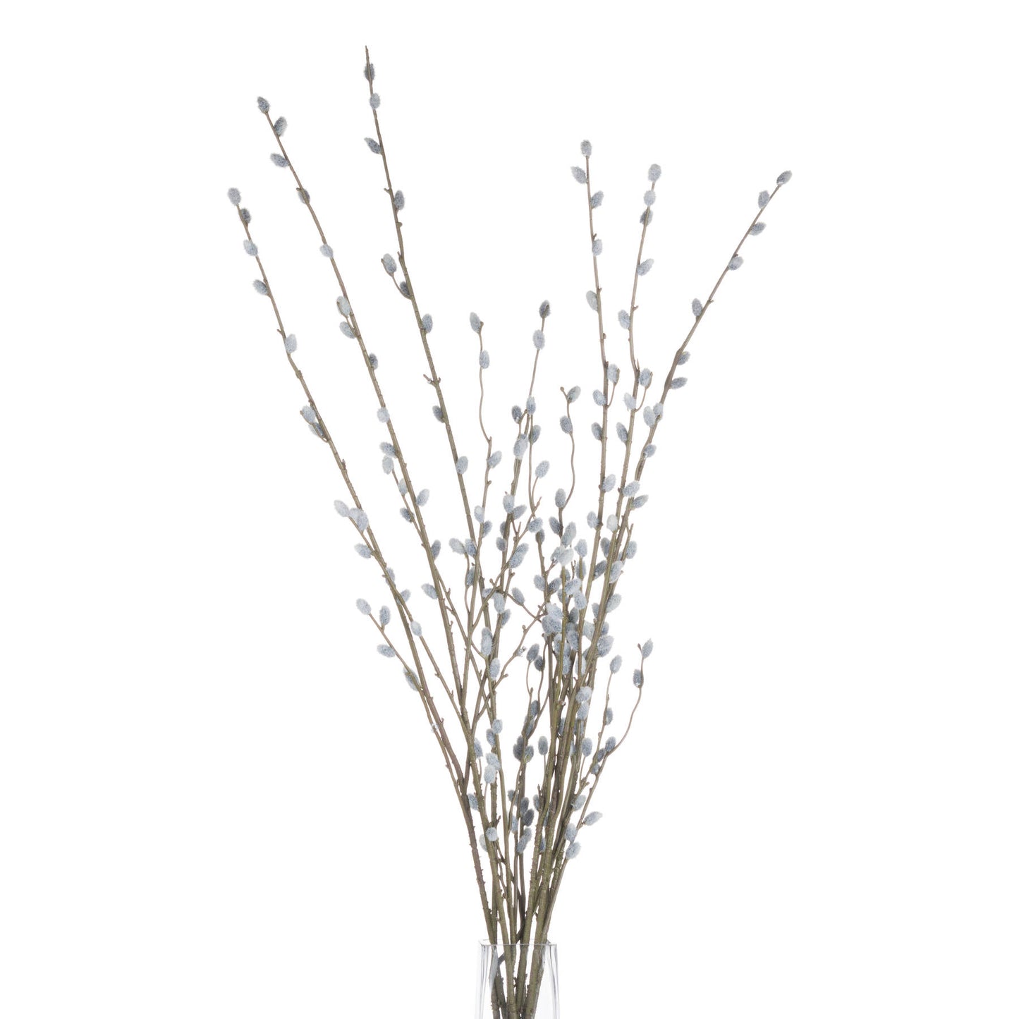 Pussy Willow Branch - Autumn Stems from the Quanta Home collection.