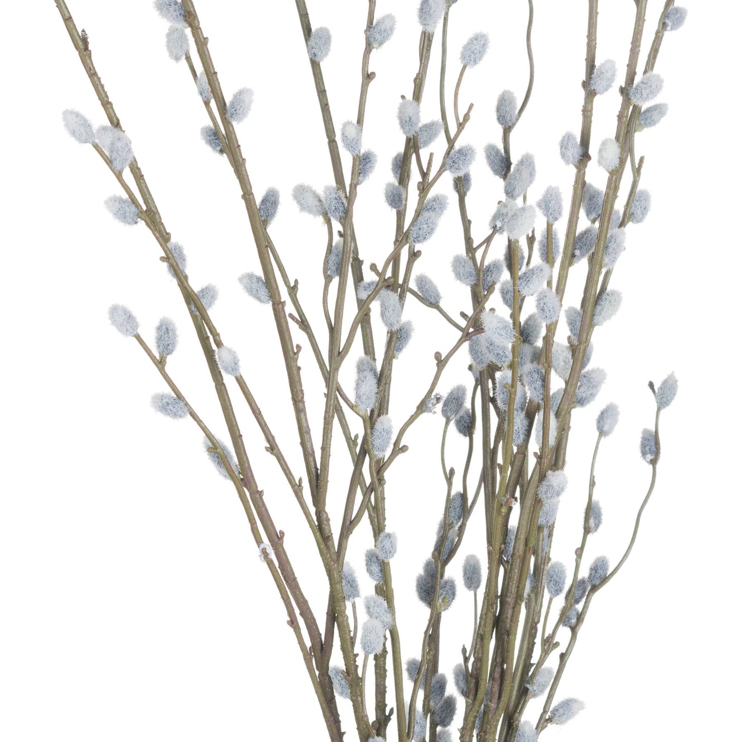 Pussy Willow Branch - Autumn Stems from the Quanta Home collection.