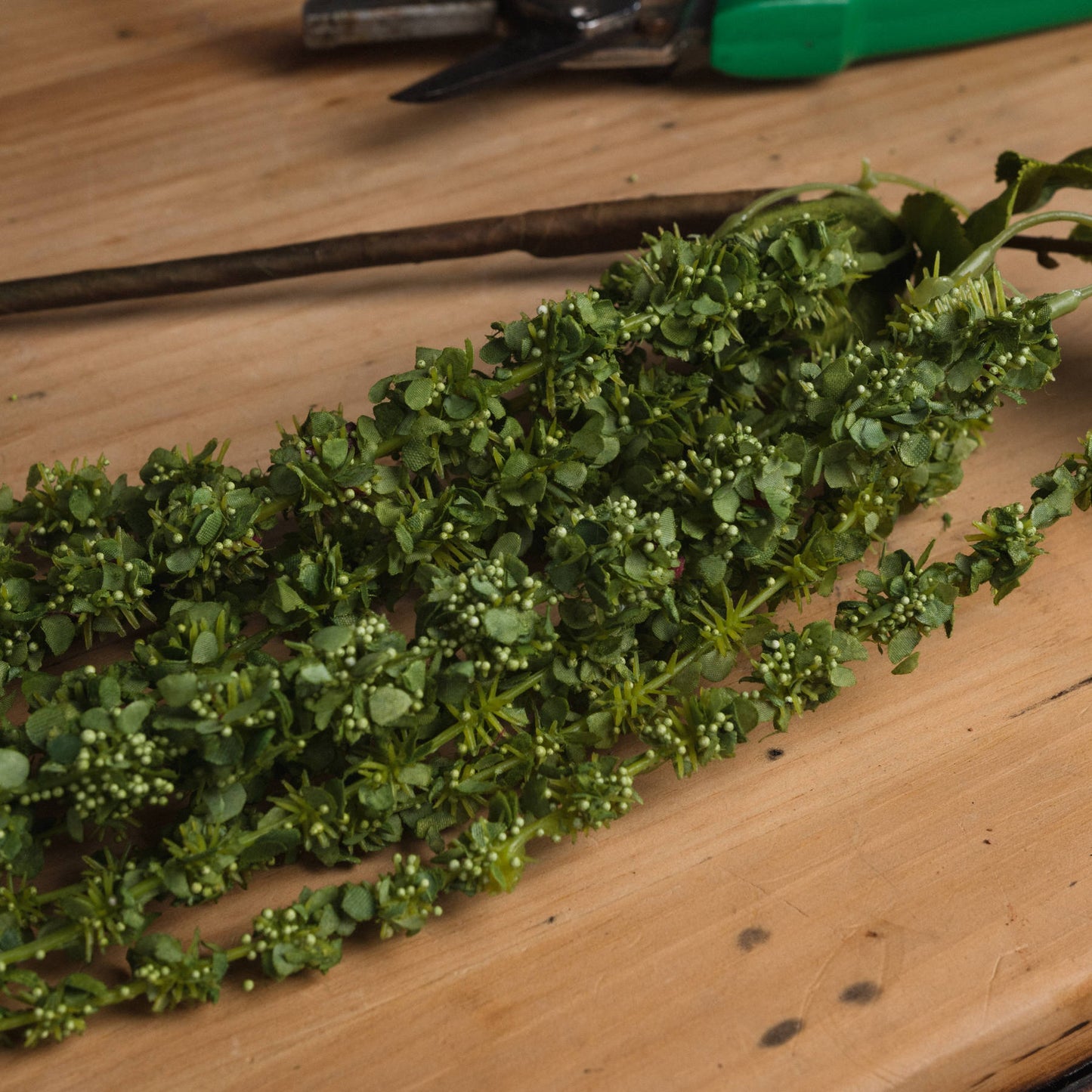 Green Amaranthus - Single Stem Flowers from the Quanta Home collection.