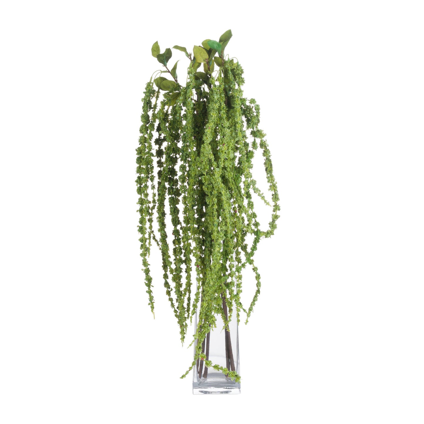 Green Amaranthus - Single Stem Flowers from the Quanta Home collection.