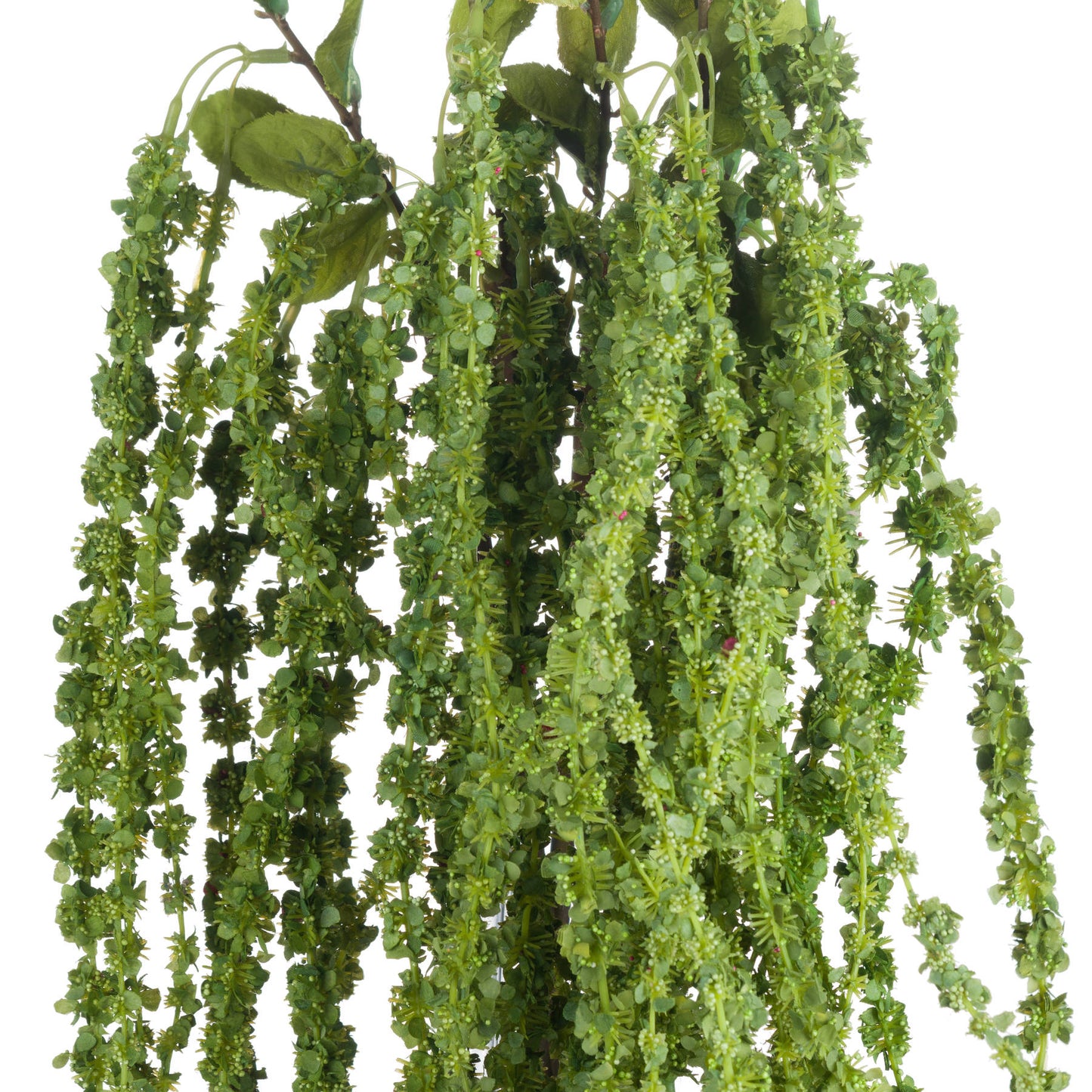 Green Amaranthus - Single Stem Flowers from the Quanta Home collection.