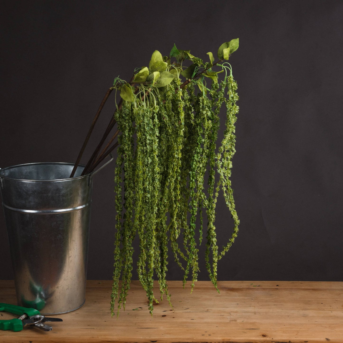 Green Amaranthus - Single Stem Flowers from the Quanta Home collection.