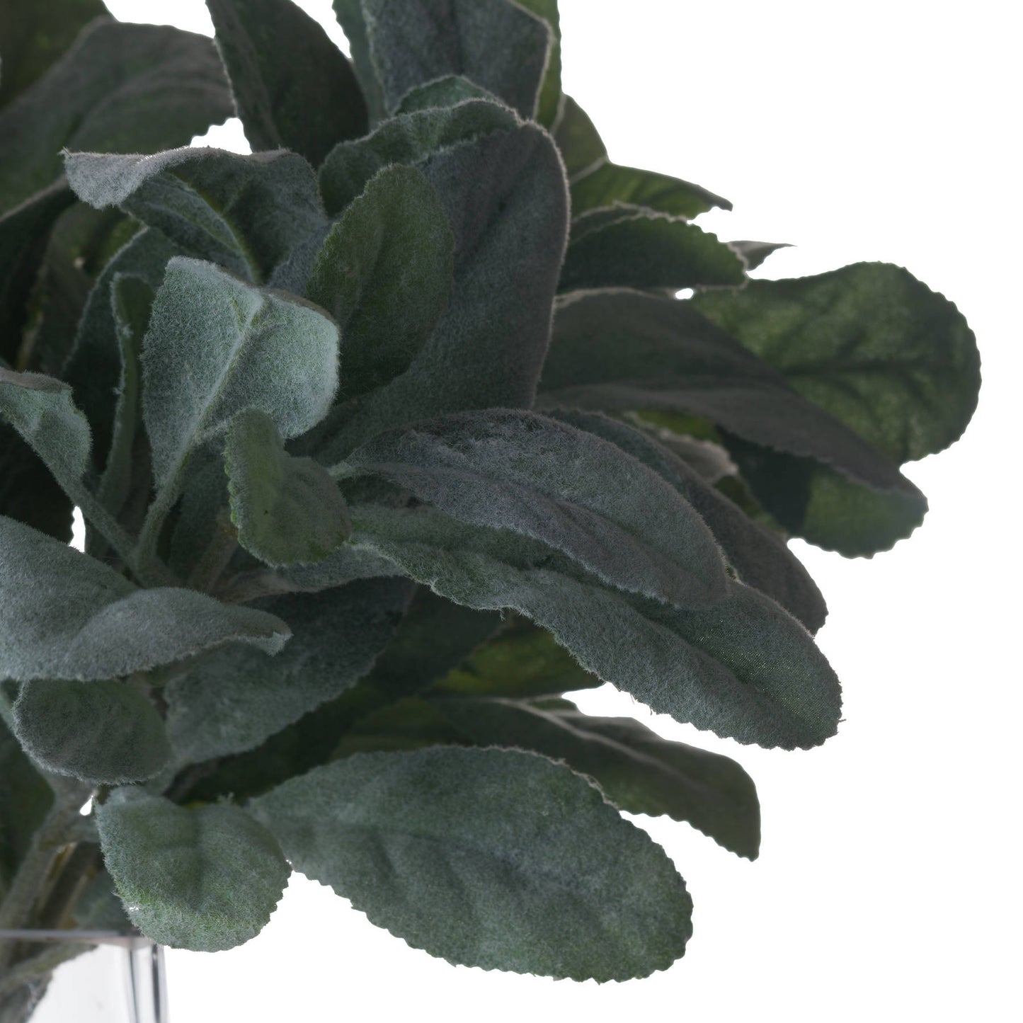 Lambs Ear Spray - Christmas Decorations from the Quanta Home collection.