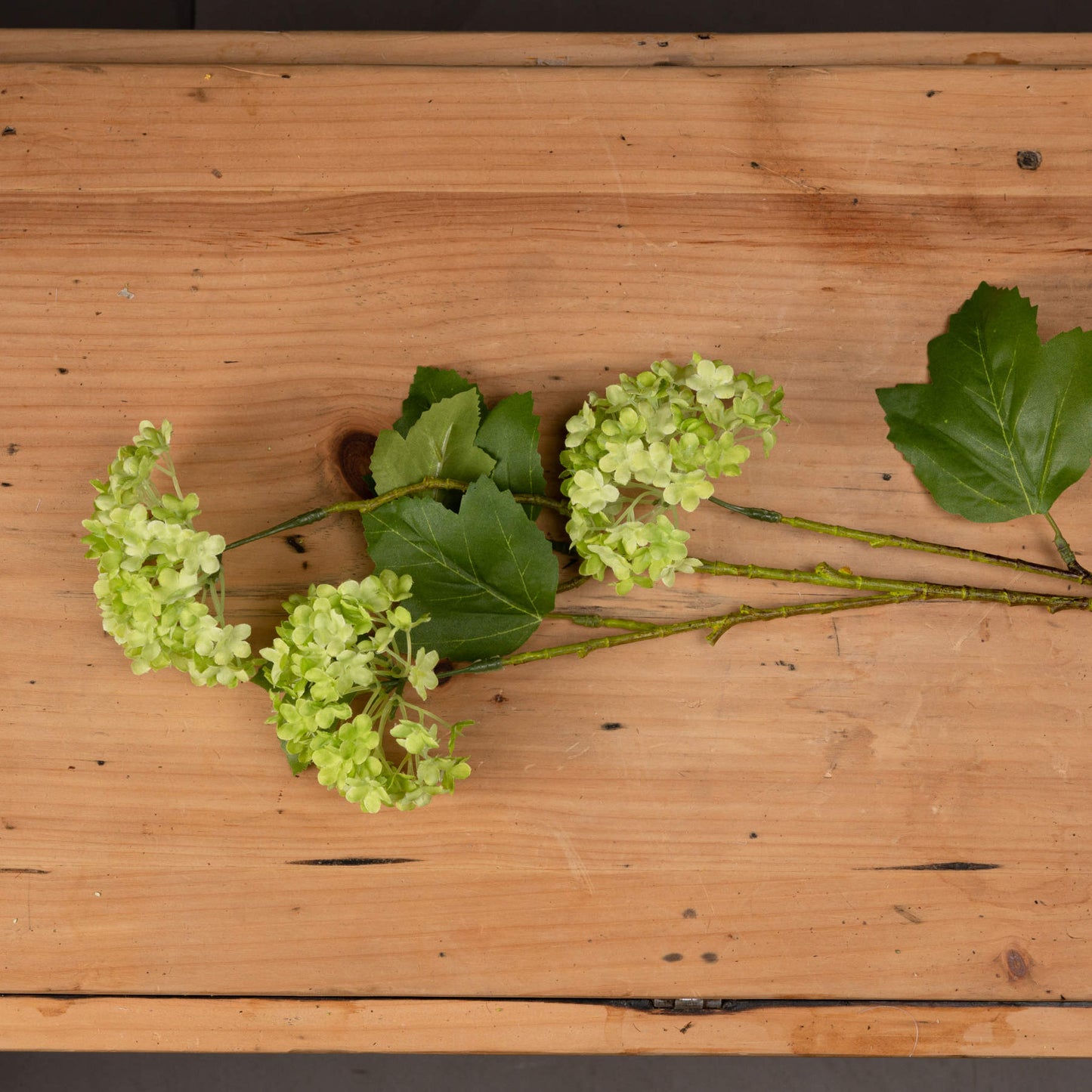 Green Viburnum Spray - Single Stem Flowers from the Quanta Home collection.