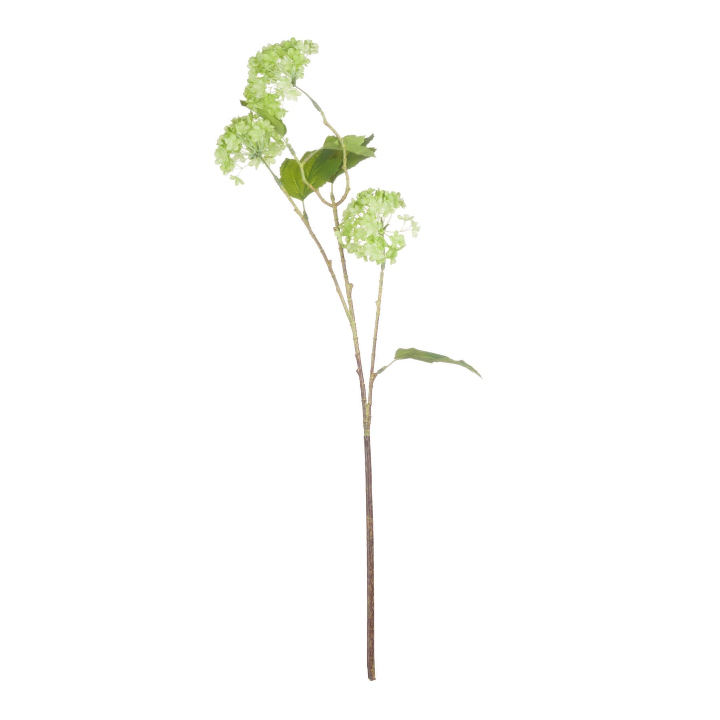 Green Viburnum Spray - Single Stem Flowers from the Quanta Home collection.