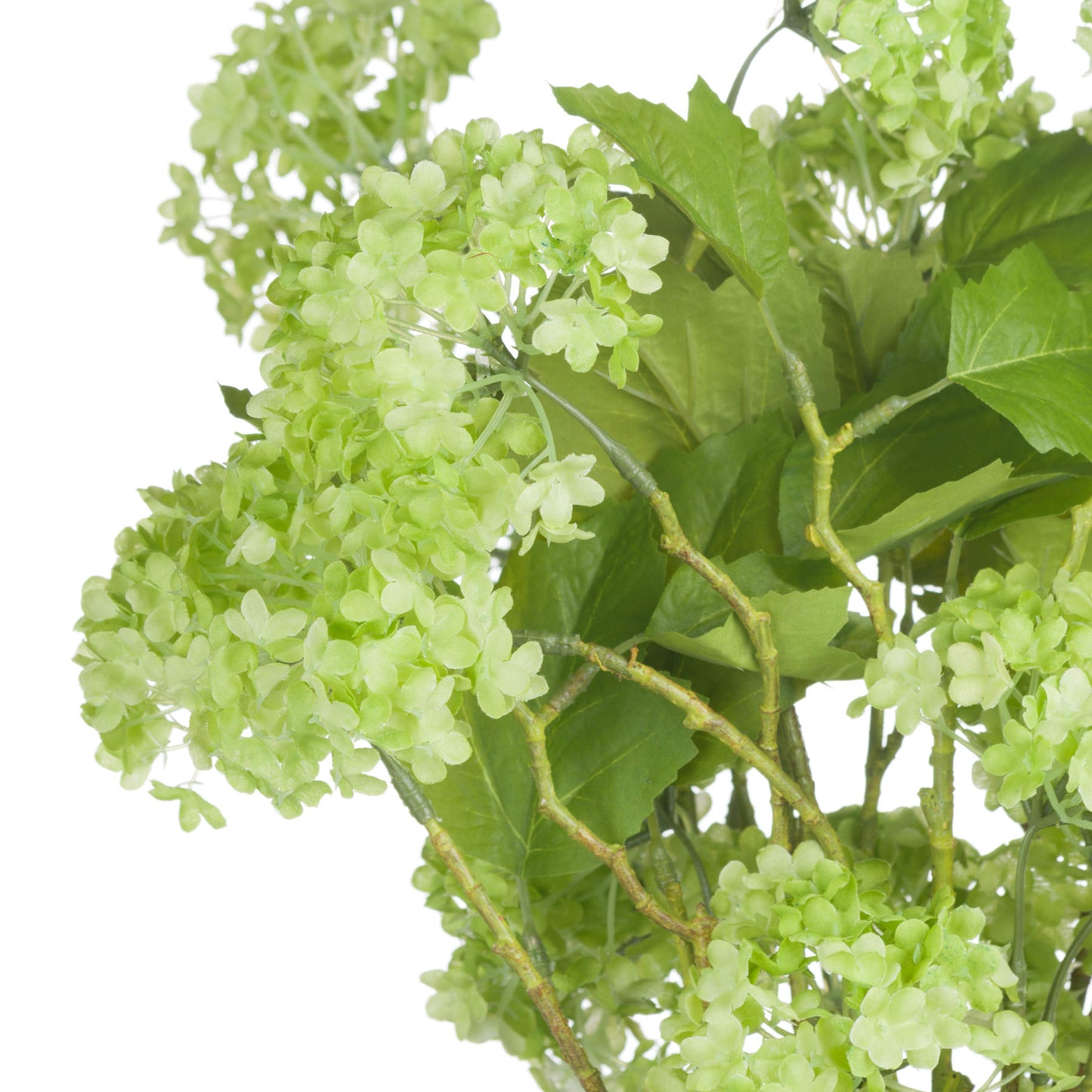 Green Viburnum Spray - Single Stem Flowers from the Quanta Home collection.