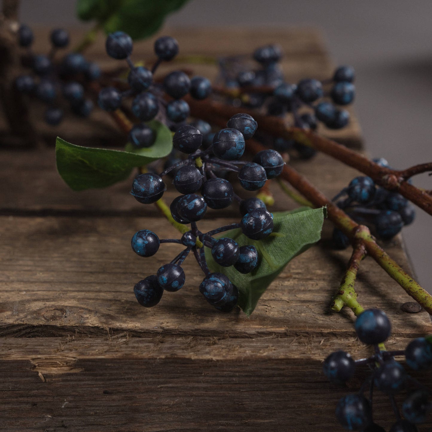 Viburnum Berry - Spring Stems from the Quanta Home collection.