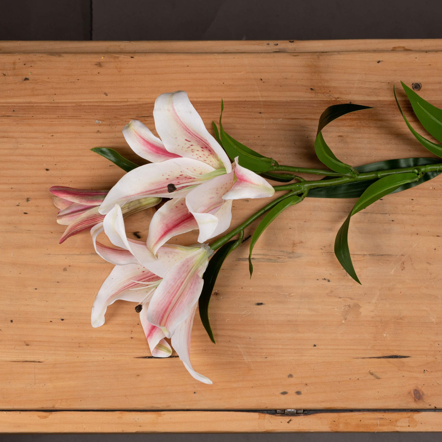 Stargazer Lily - Single Stem Flowers from the Quanta Home collection.