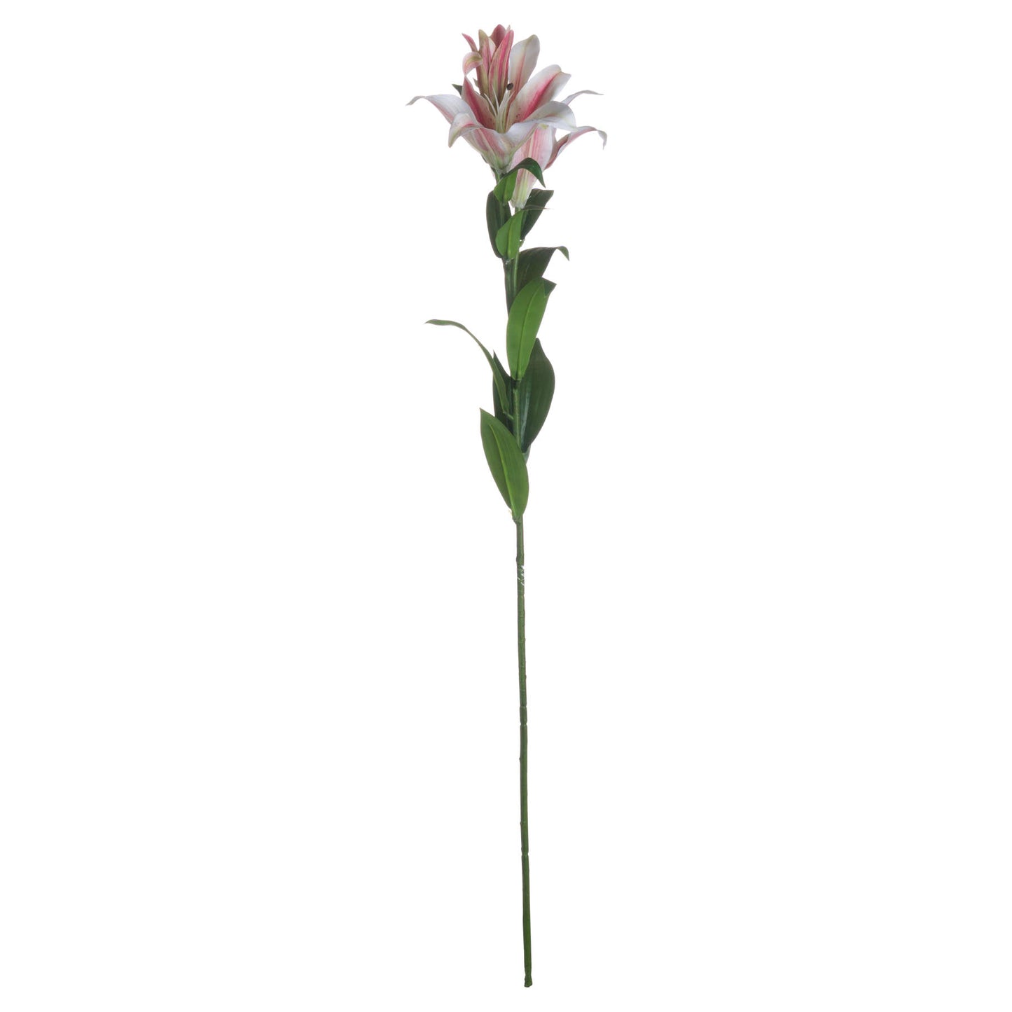 Stargazer Lily - Single Stem Flowers from the Quanta Home collection.