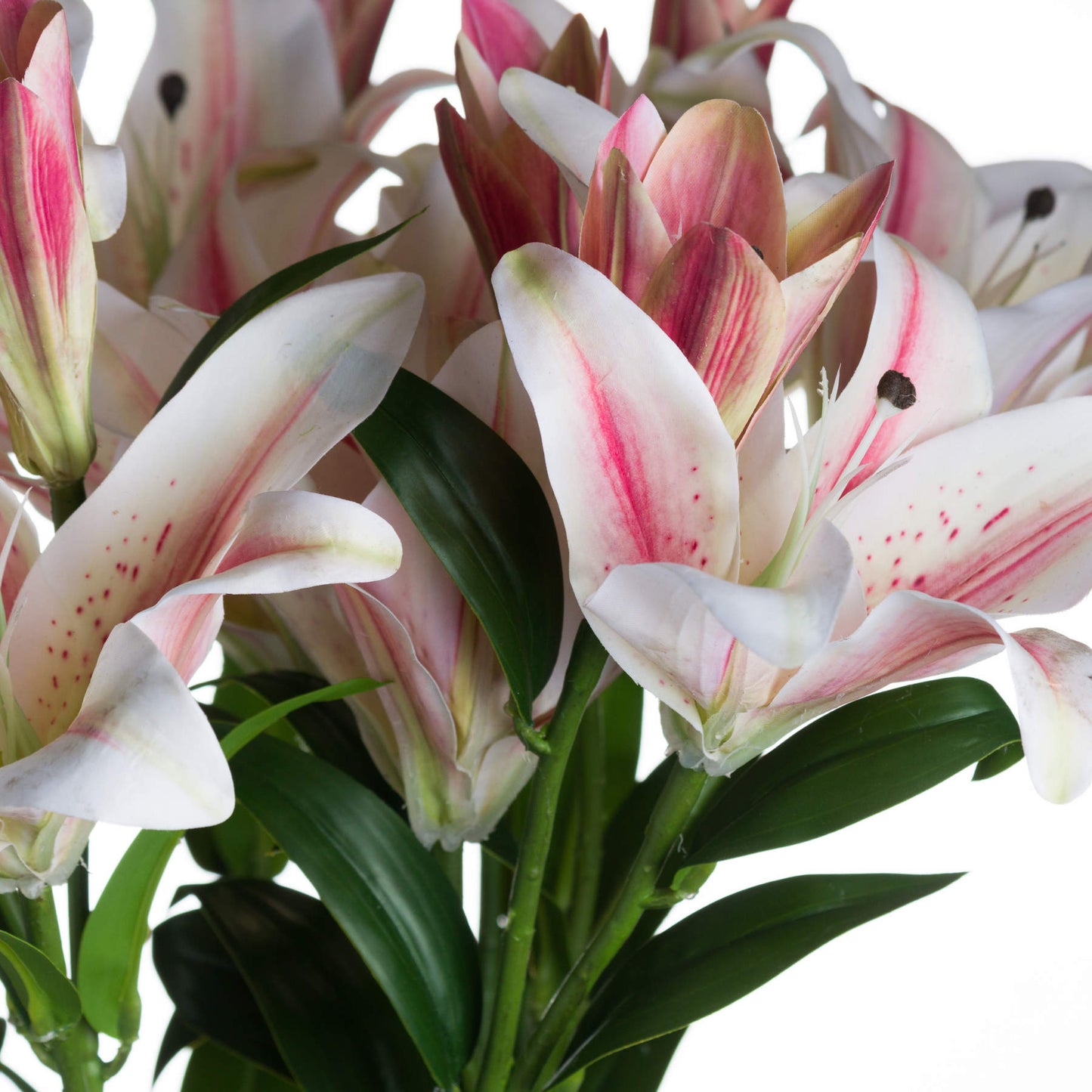 Stargazer Lily - Single Stem Flowers from the Quanta Home collection.