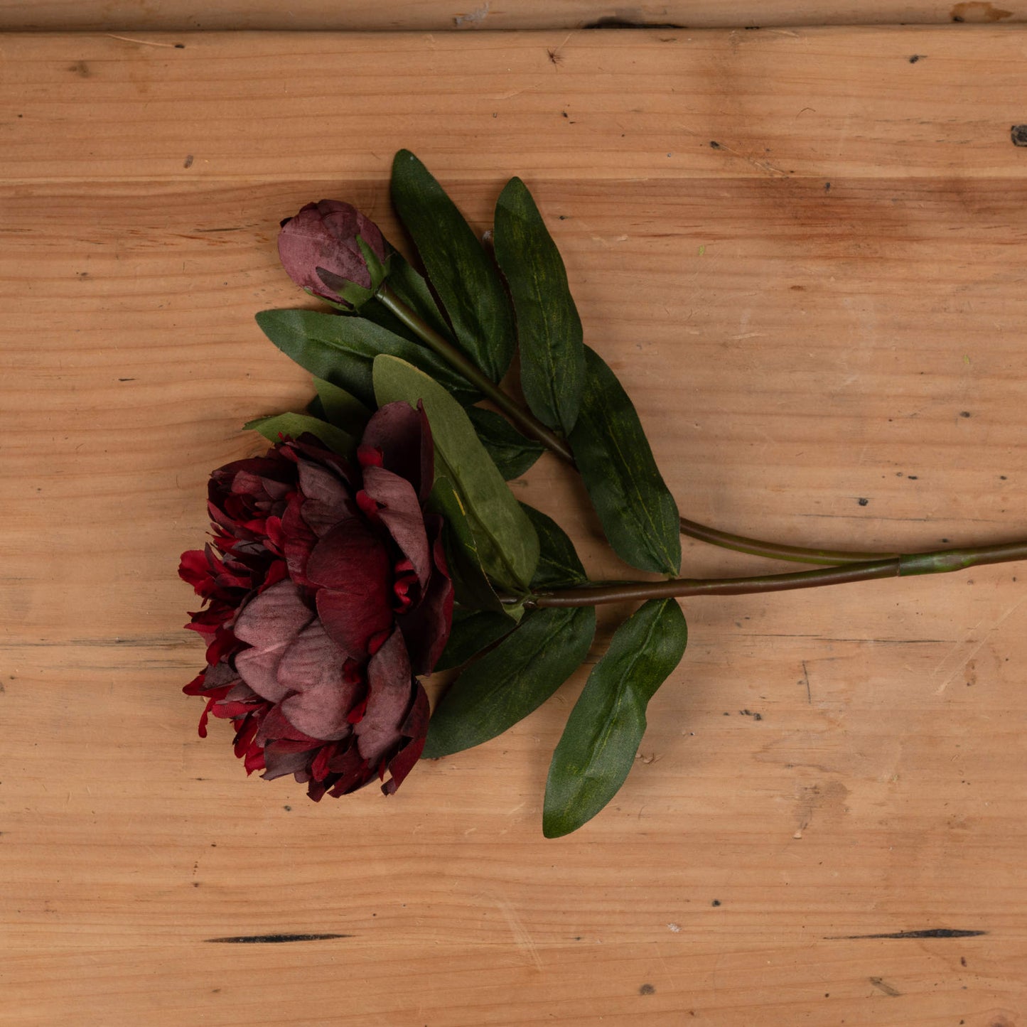 Burgundy peony rose with intricate detailing, featuring rich red tones and lush green leaves, set against a wooden background.