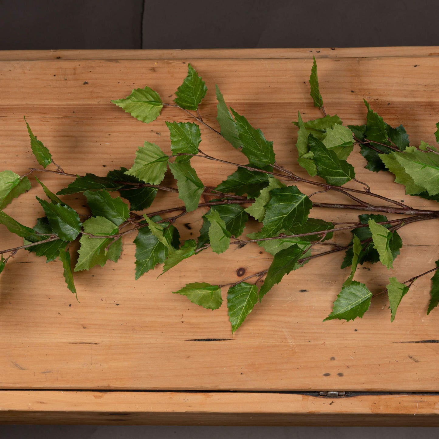 Green Branch Spray - Single Stem Flowers from the Quanta Home collection.