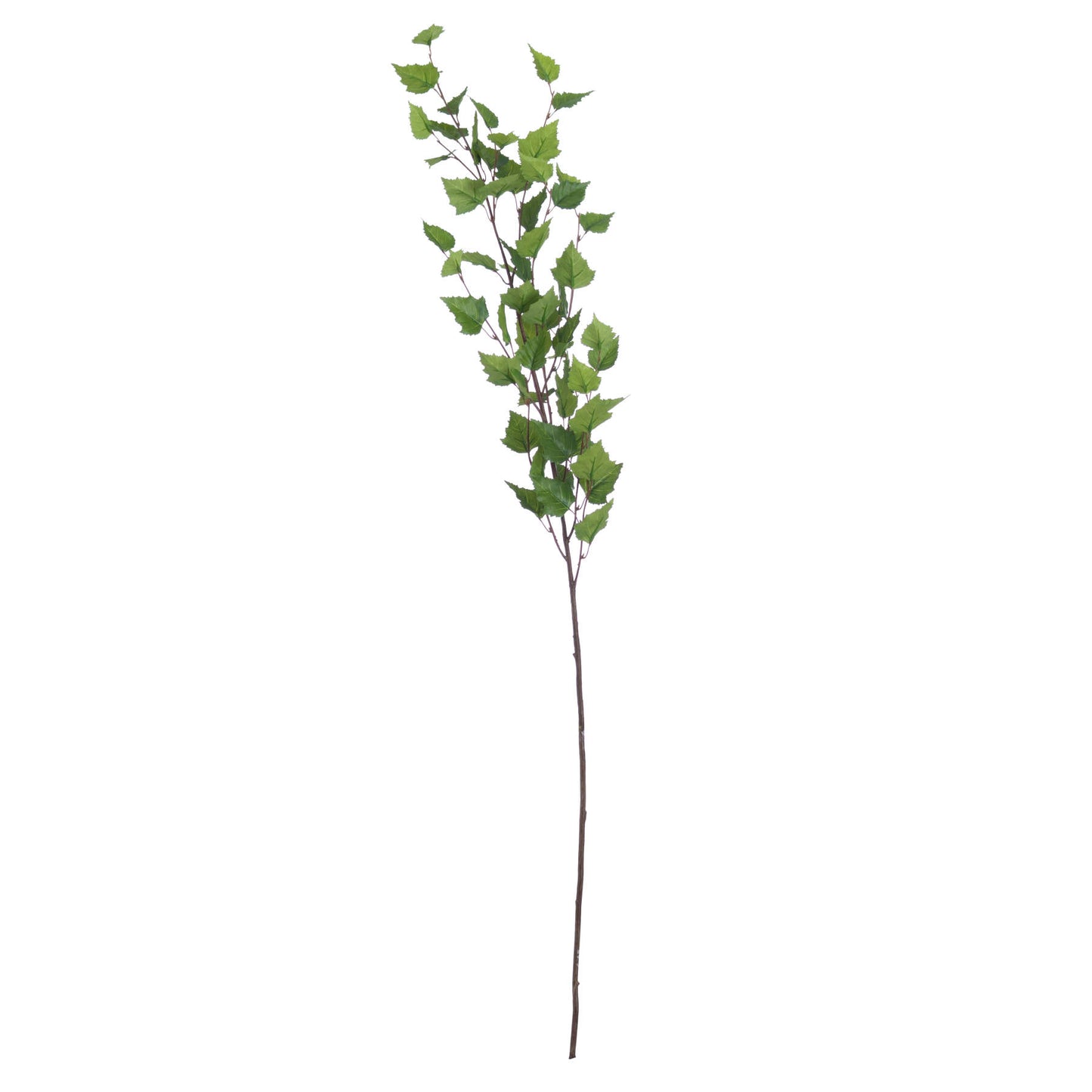 Green Branch Spray - Single Stem Flowers from the Quanta Home collection.