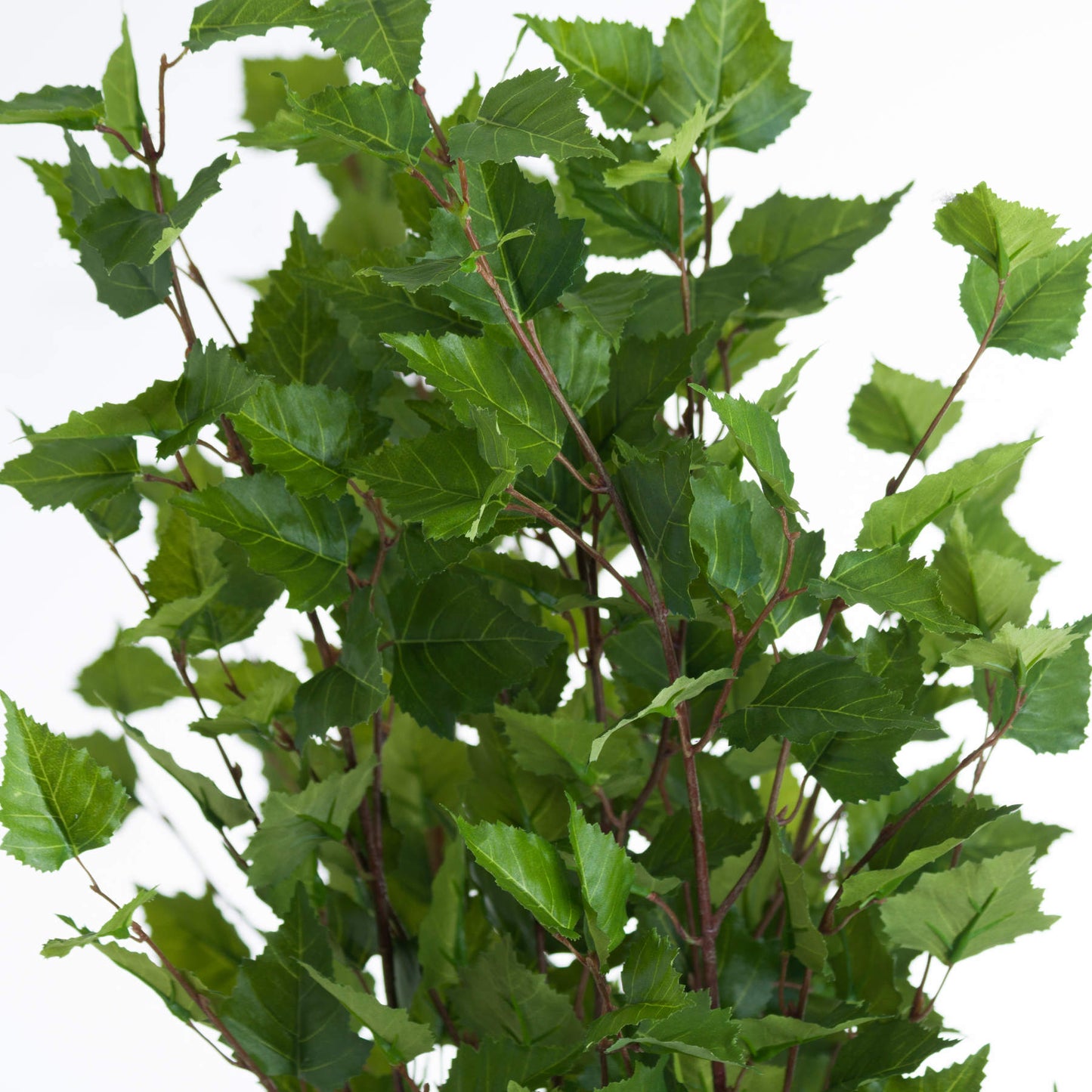 Green Branch Spray - Single Stem Flowers from the Quanta Home collection.