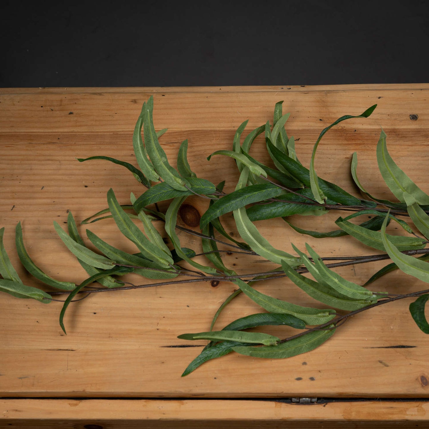 Eucalyptus Nicholii Spray - Single Stem Flowers from the Quanta Home collection.