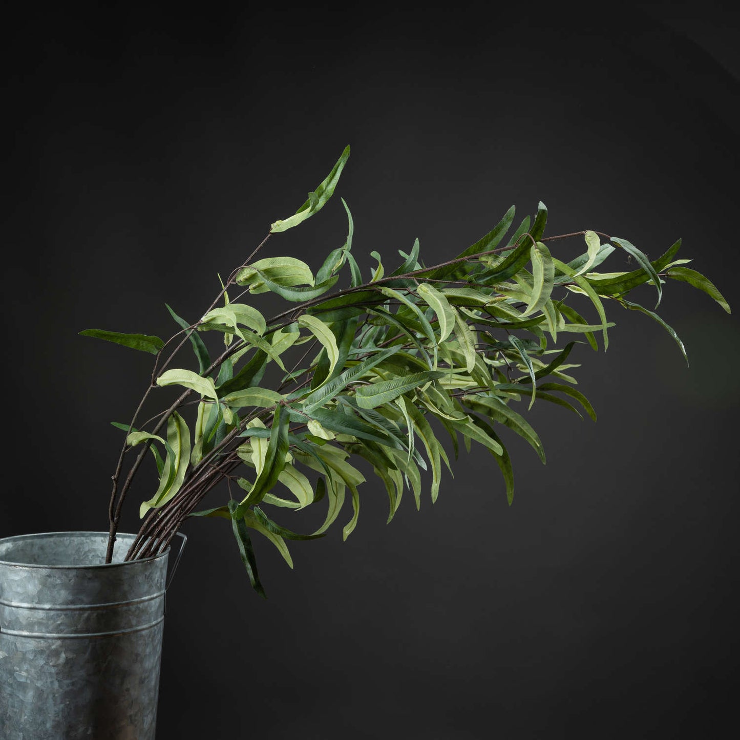 Eucalyptus Nicholii Spray - Single Stem Flowers from the Quanta Home collection.