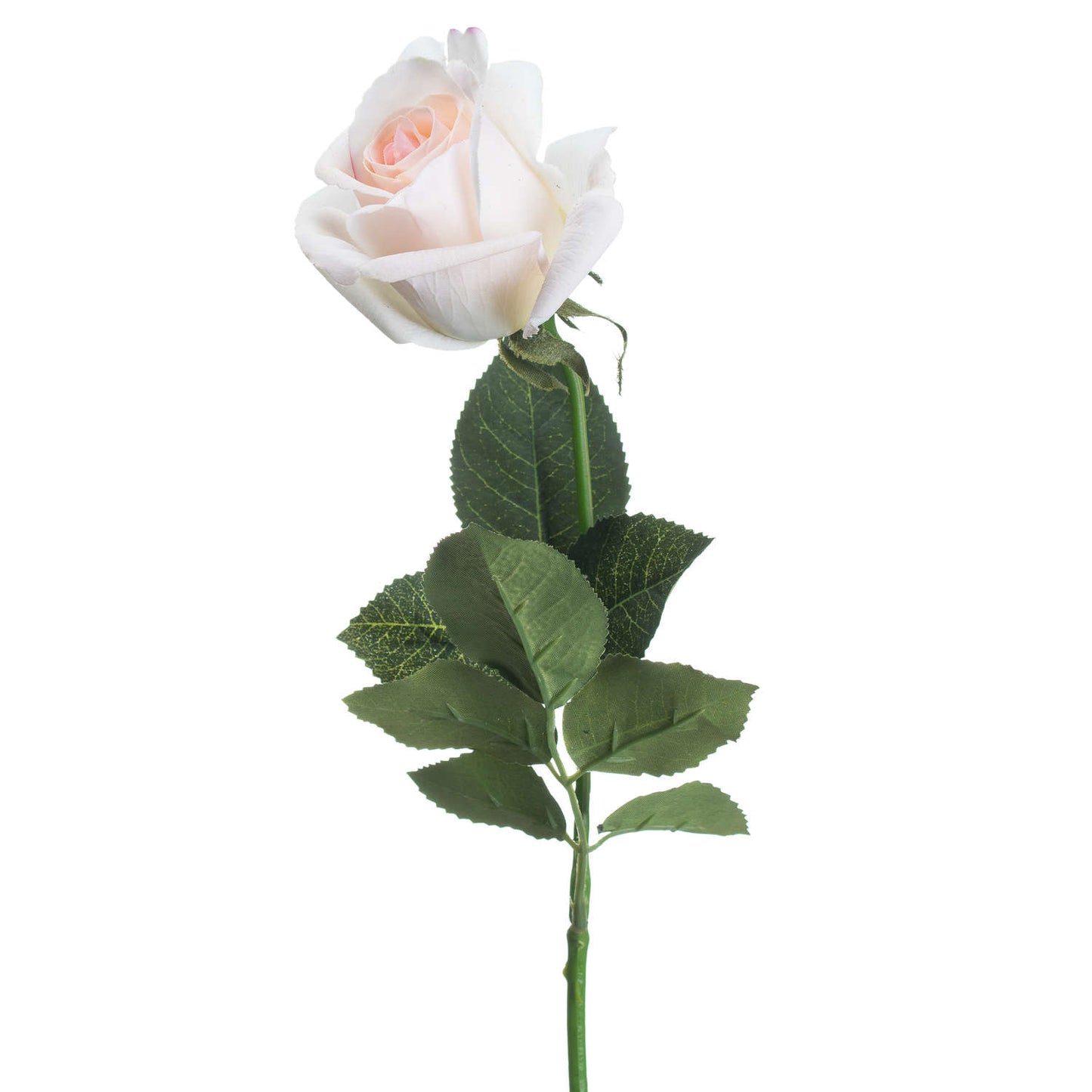 Pale pink tea rose with softly unfurling petals and lush green leaves, creating an elegant, lifelike appearance.