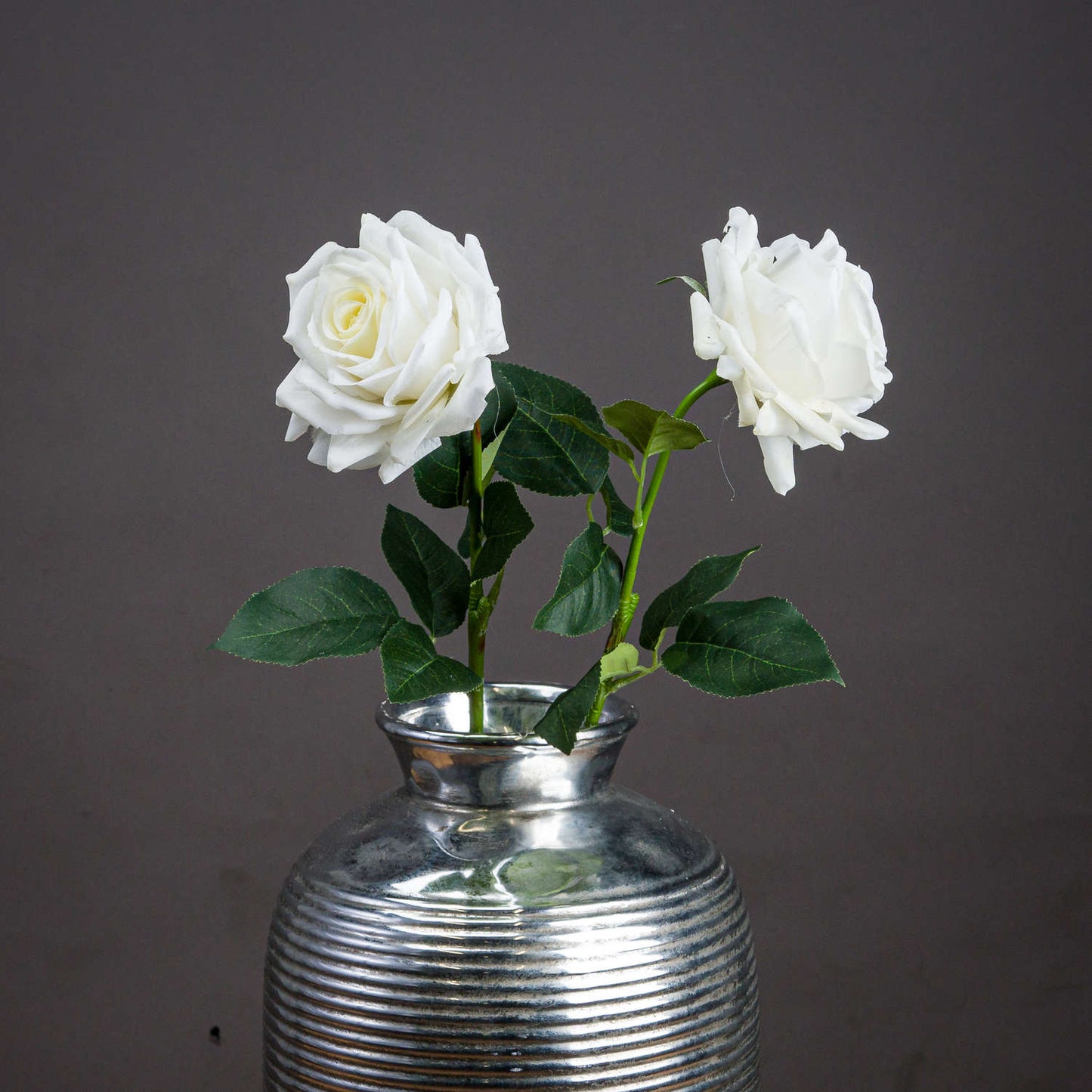 Large White Garden Rose - Single Stem Flowers from the Quanta Home collection.