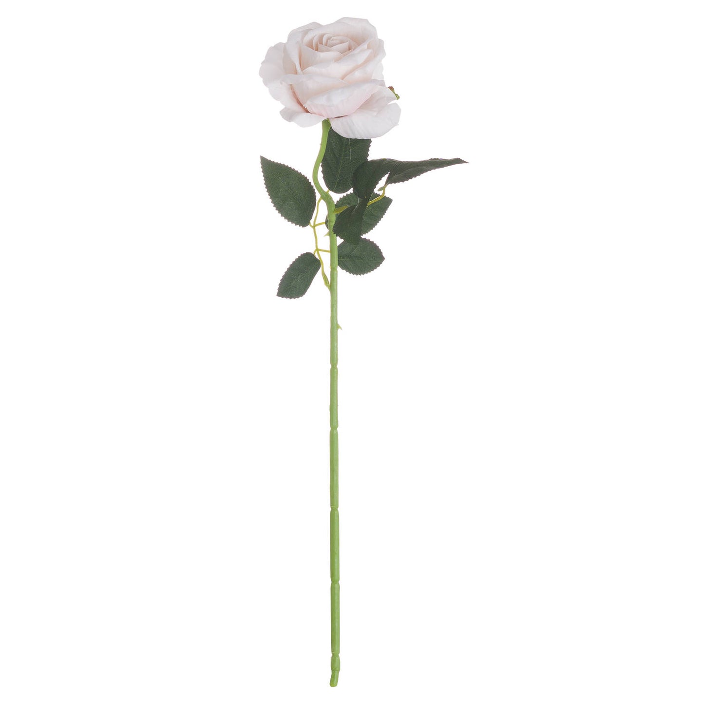 Pastel pink tea rose with delicate petals and realistic green leaves, ideal for romantic or modern décor.