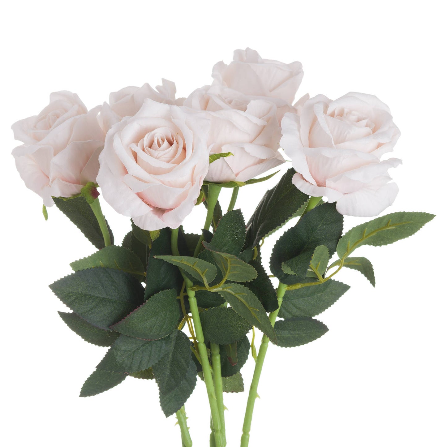 Pastel pink tea roses with delicately layered petals and lush green leaves create a romantic, elegant floral display.