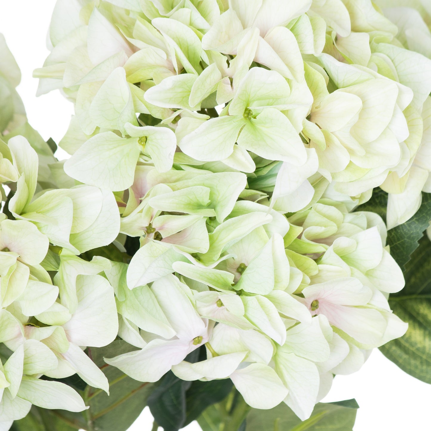 Lush green hydrangea bouquet with voluminous blooms and rich foliage, perfect for elegant home decor and centerpieces.