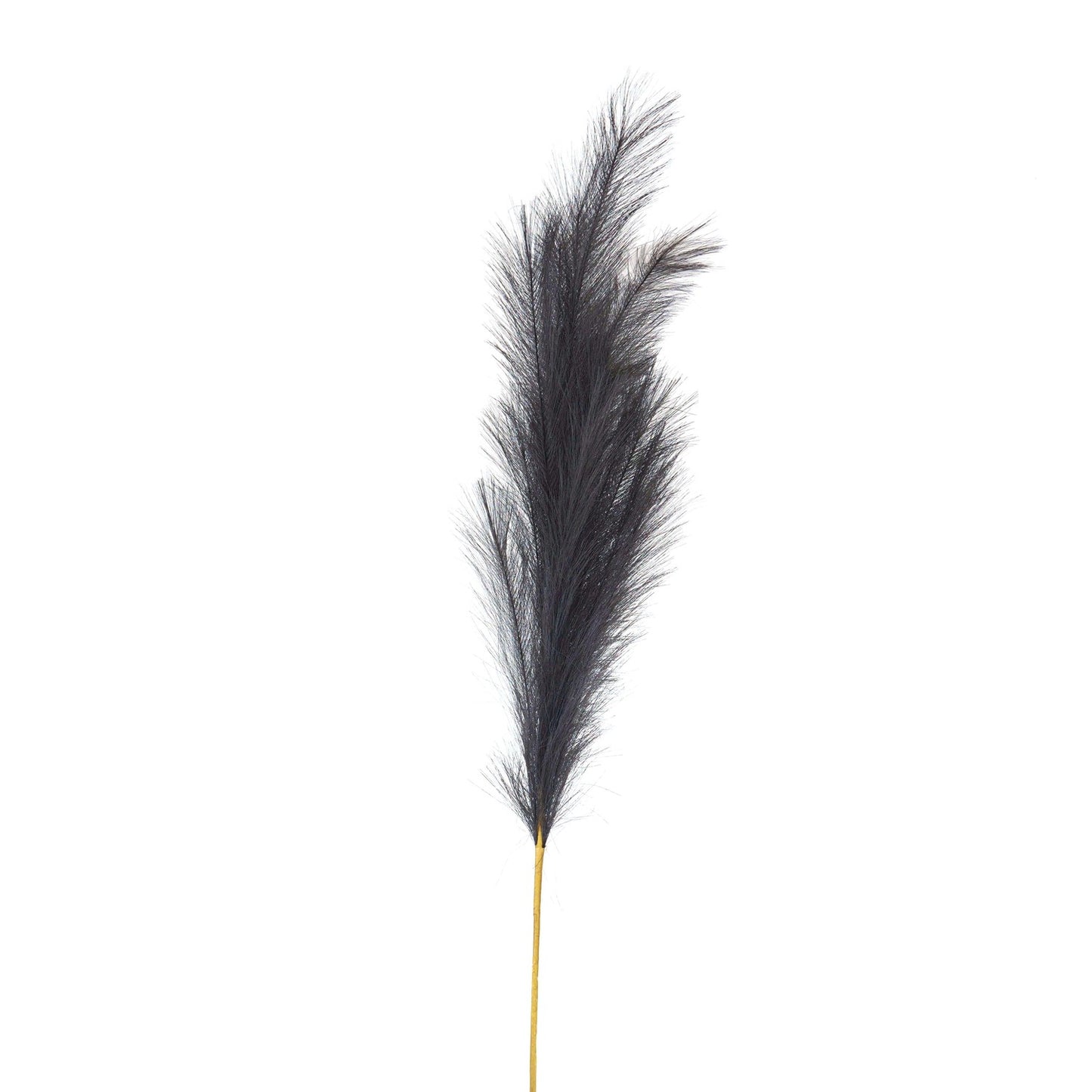 Grey faux pampas grass stem with light, airy plumes on a slender golden stem, ideal for modern interior decor and styling.