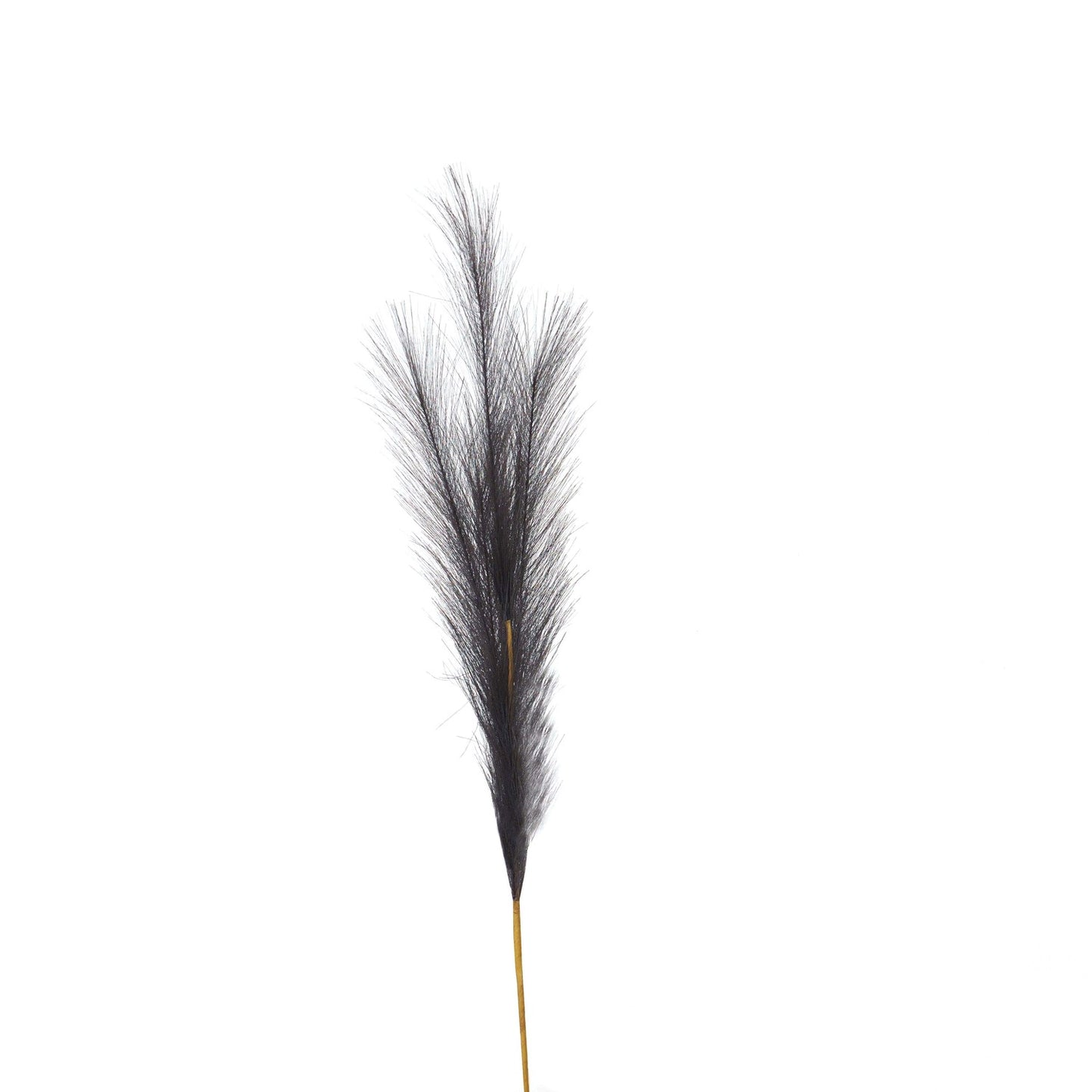 Elegant grey faux pampas grass stem with soft, silky plumes on a slender stem, perfect for modern decor.