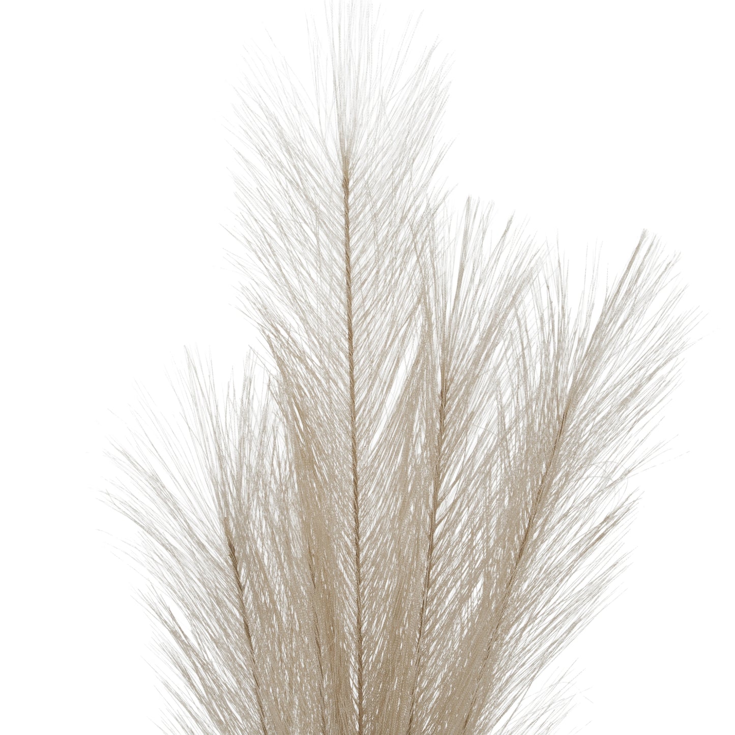 Bleached Large Faux Pampas Grass Stem