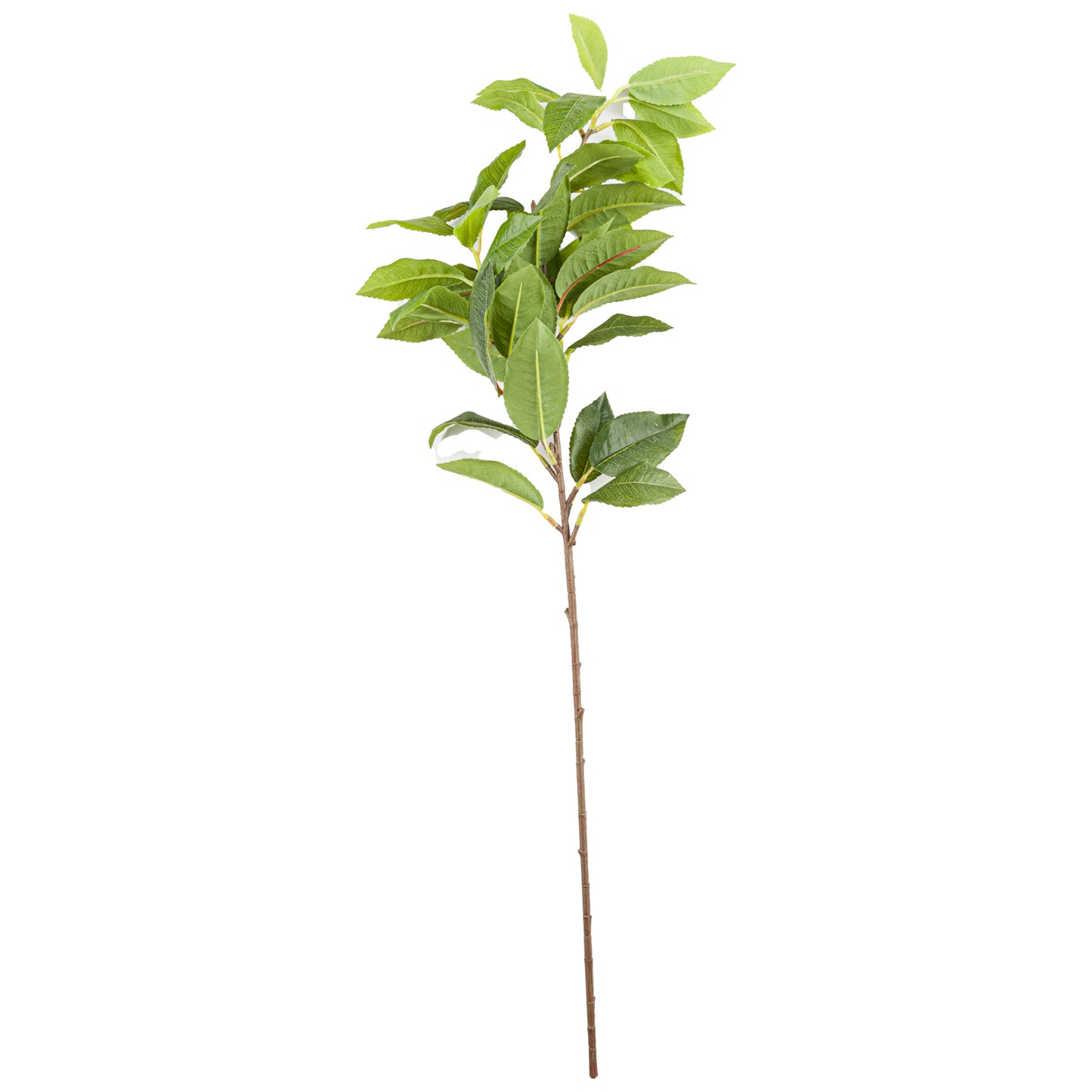 Lifelike green laurel leaf spray with meticulous detailing and realistic structure, perfect for sophisticated home decor arrangements.