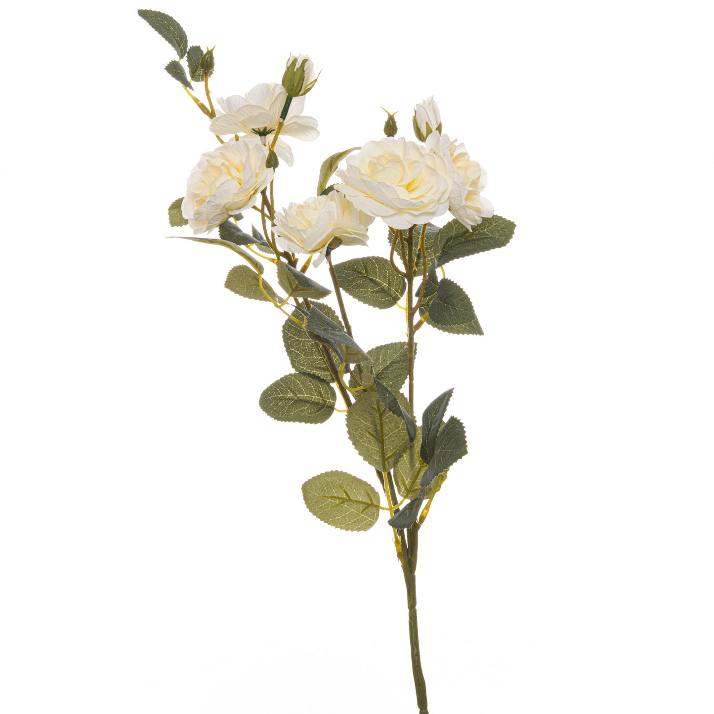 Lifelike soft white cottage rose stem with multi-petaled blooms and lush green foliage, enhancing elegant home decor.