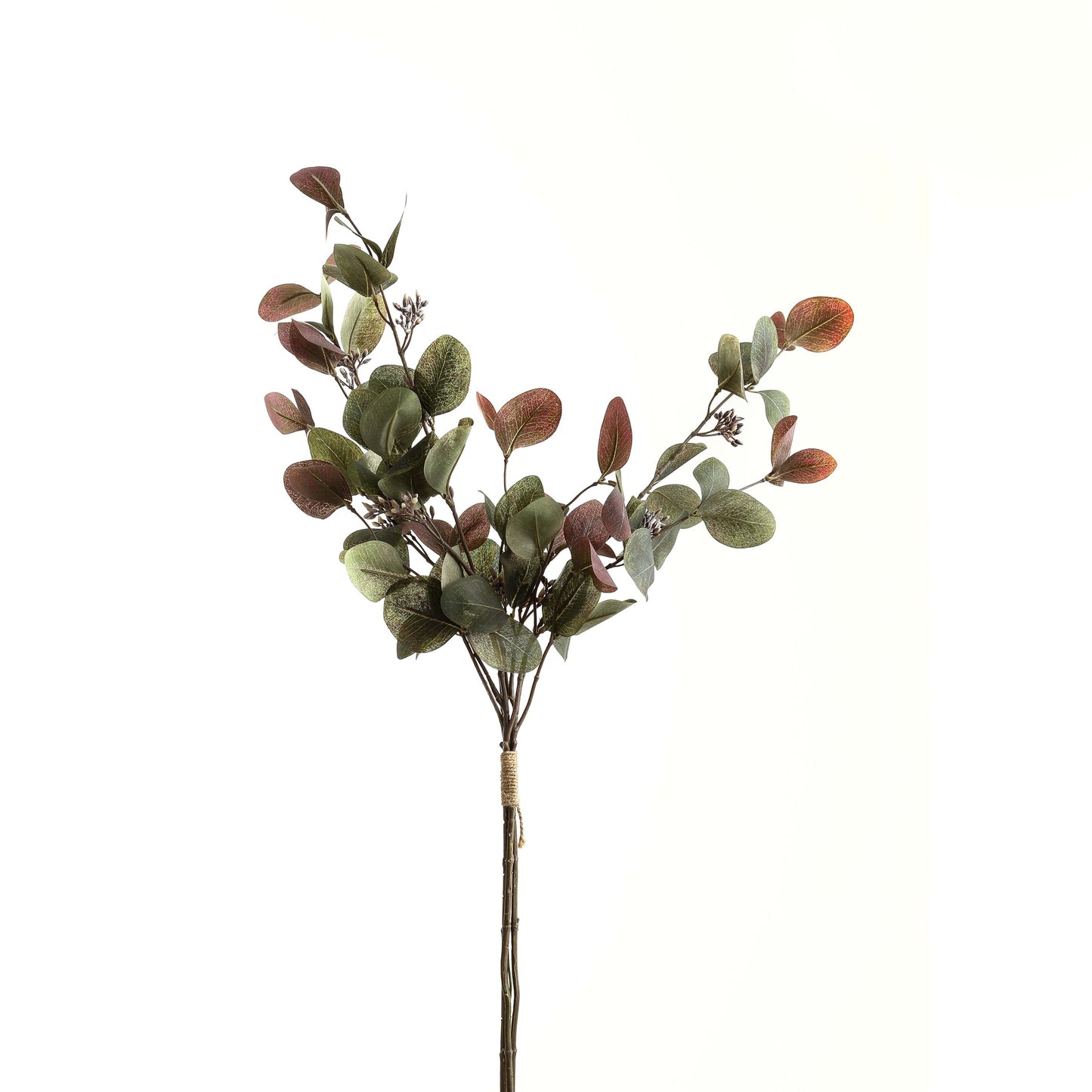 Variegated eucalyptus bouquet with sage green and ruby leaves, showcasing artistic depth and year-round vibrancy.