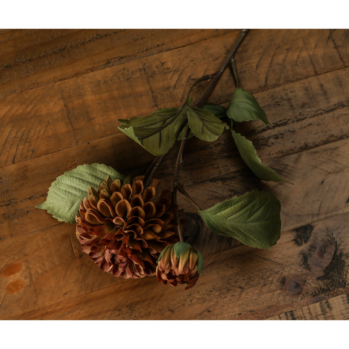 Deep mustard dahlia stem with intricate petals and vibrant hue, accompanied by green leaves, resting on a wooden surface.