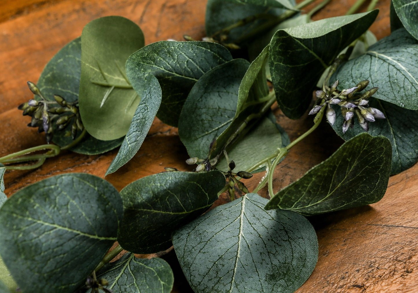 Realistic green eucalyptus stem with textured leaves and small buds, set against a wooden background for a natural look.
