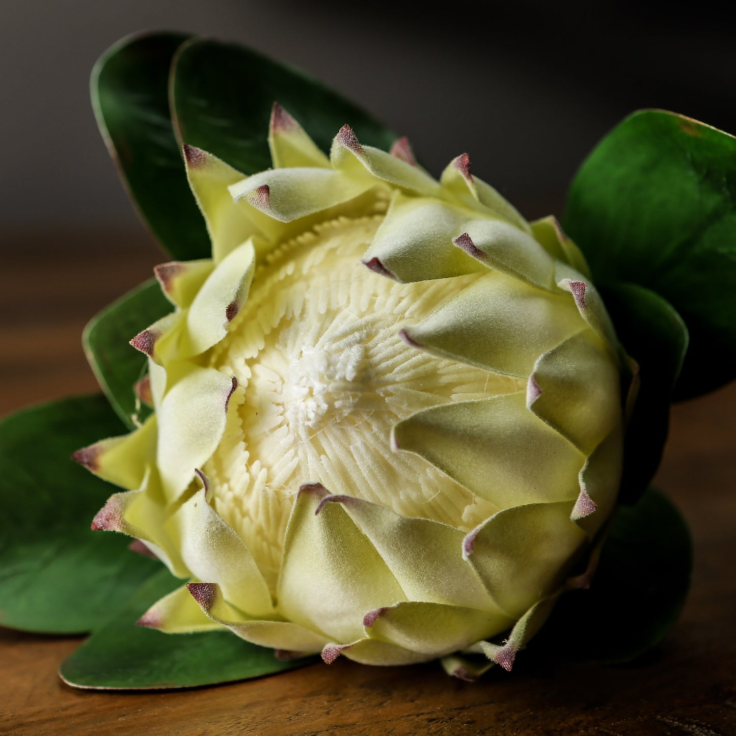 Large white protea flower with textured petals and green leaves, embodying elegance and realism for sophisticated decor.